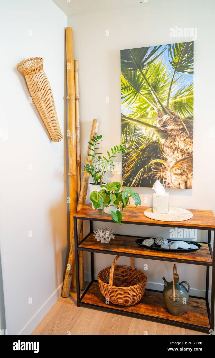Arredamento di casa di camera d'angolo interno con scaffalatura con ornamenti, piante in vaso e un quadro di palme a parete. Foto Stock