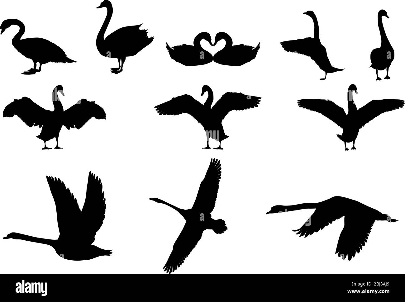 silhouette swan Illustrazione Vettoriale