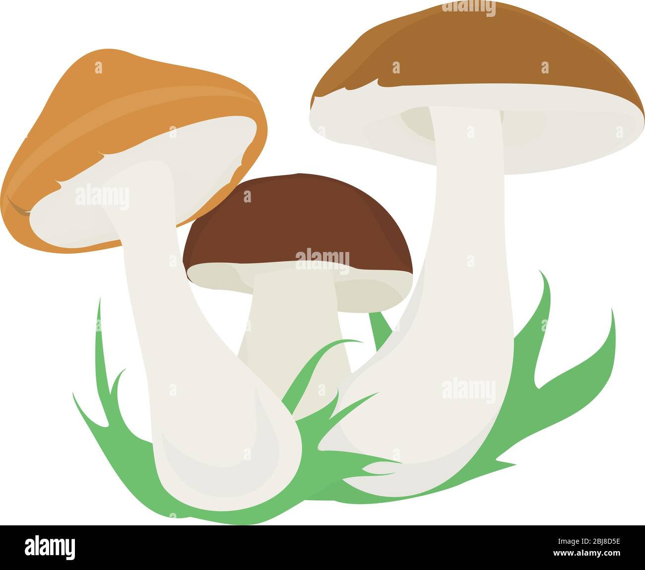 gruppo di tre fumetti funghi isolati su bianco Illustrazione Vettoriale