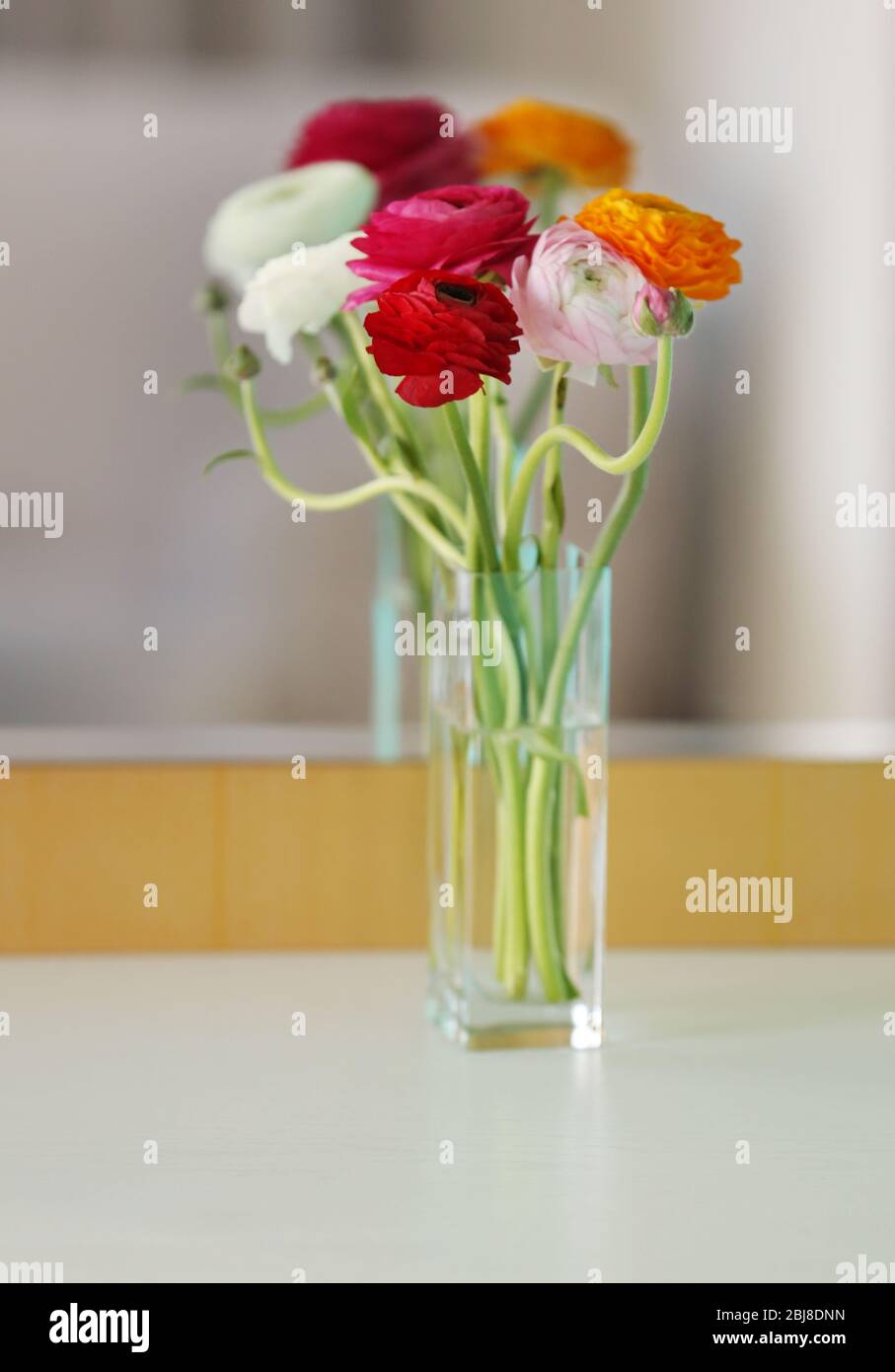 Bouquet di boccette persiane, primo piano Foto Stock