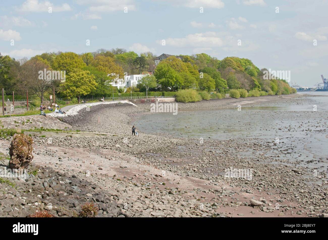 Elbe in Hamburg, Niedrigwasser , Flussbett trocknet aus, am 27. Aprile 2020 Foto Stock