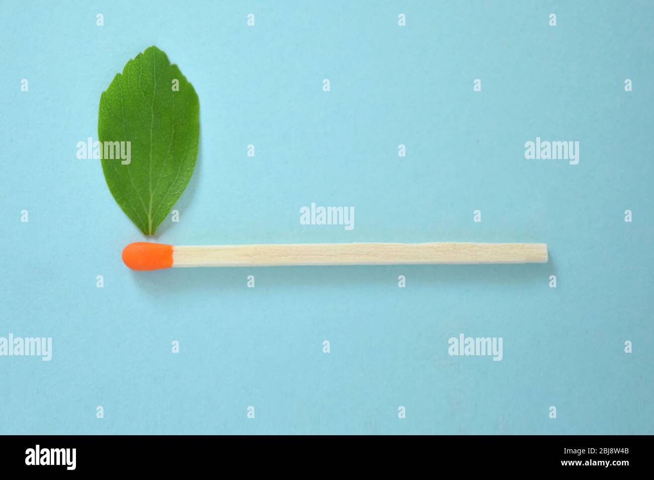 Abbinamento concettuale con foglia verde come una fiamma Foto Stock