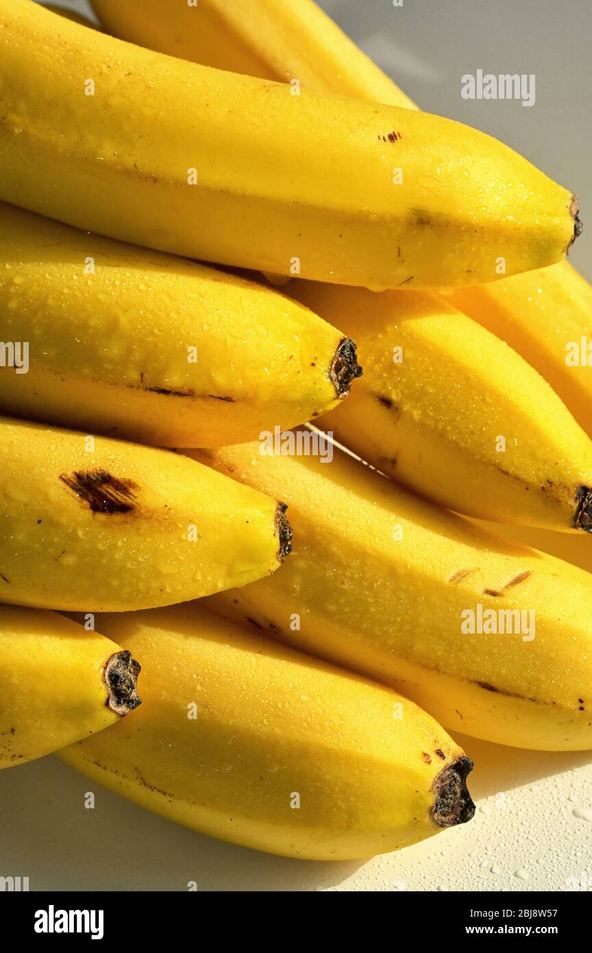 Mazzo di banane biologiche gialle mature Foto Stock