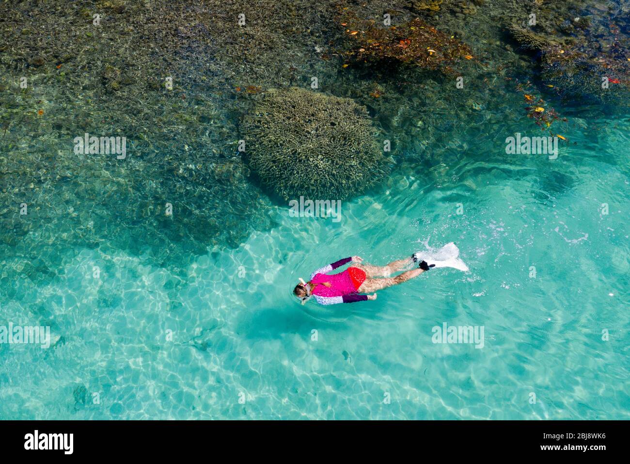 Snorkeling a House Reef di Lissenung, Nuova Irlanda, Papua Nuova Guinea Foto Stock