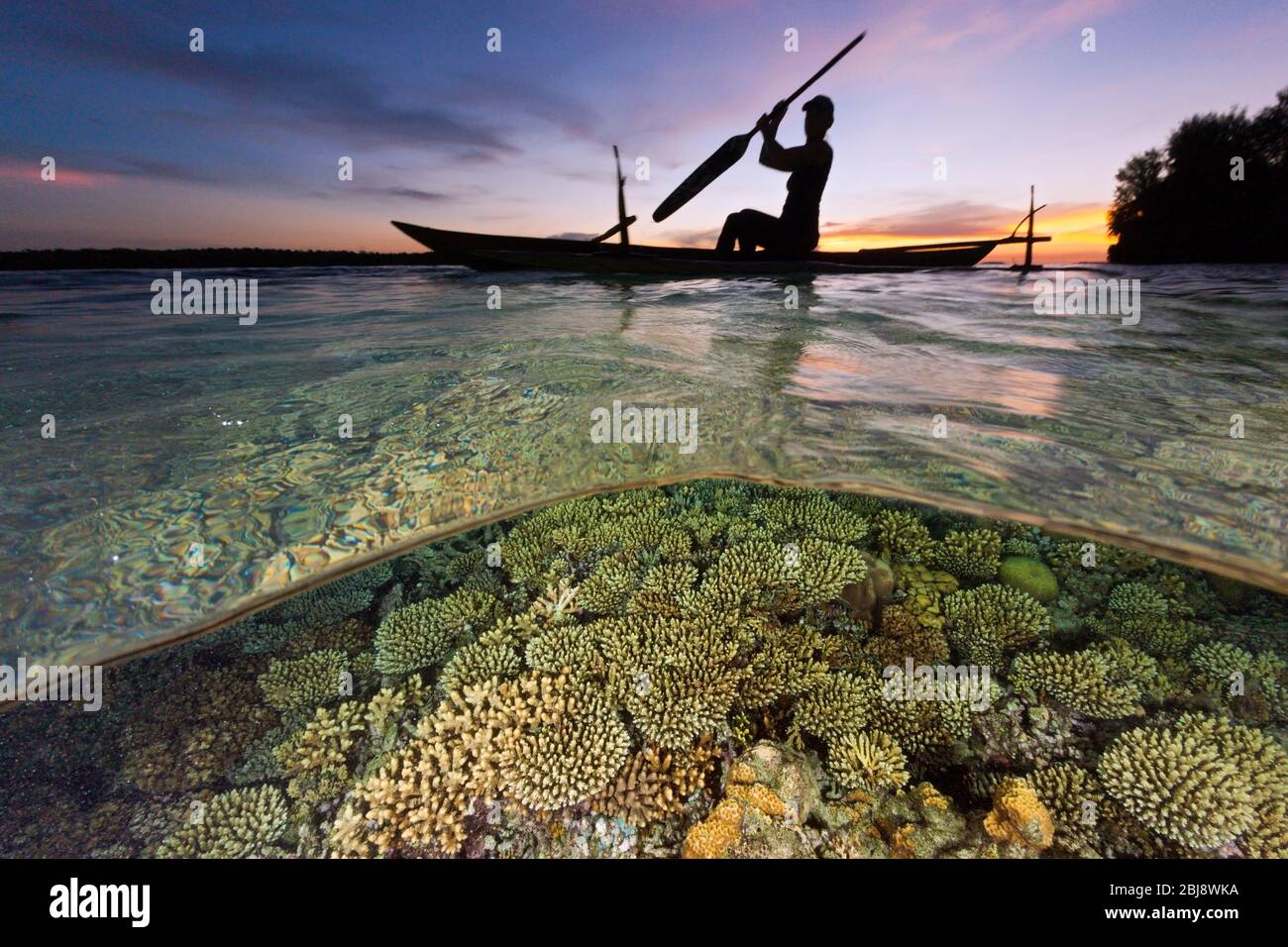 Barriera corallina al tramonto, Nuova Irlanda, Papua Nuova Guinea Foto Stock