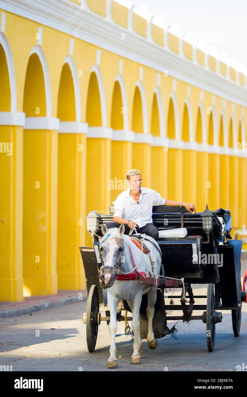 uomo in carrozza per le strade della città vecchia di cartagena colombia Foto Stock