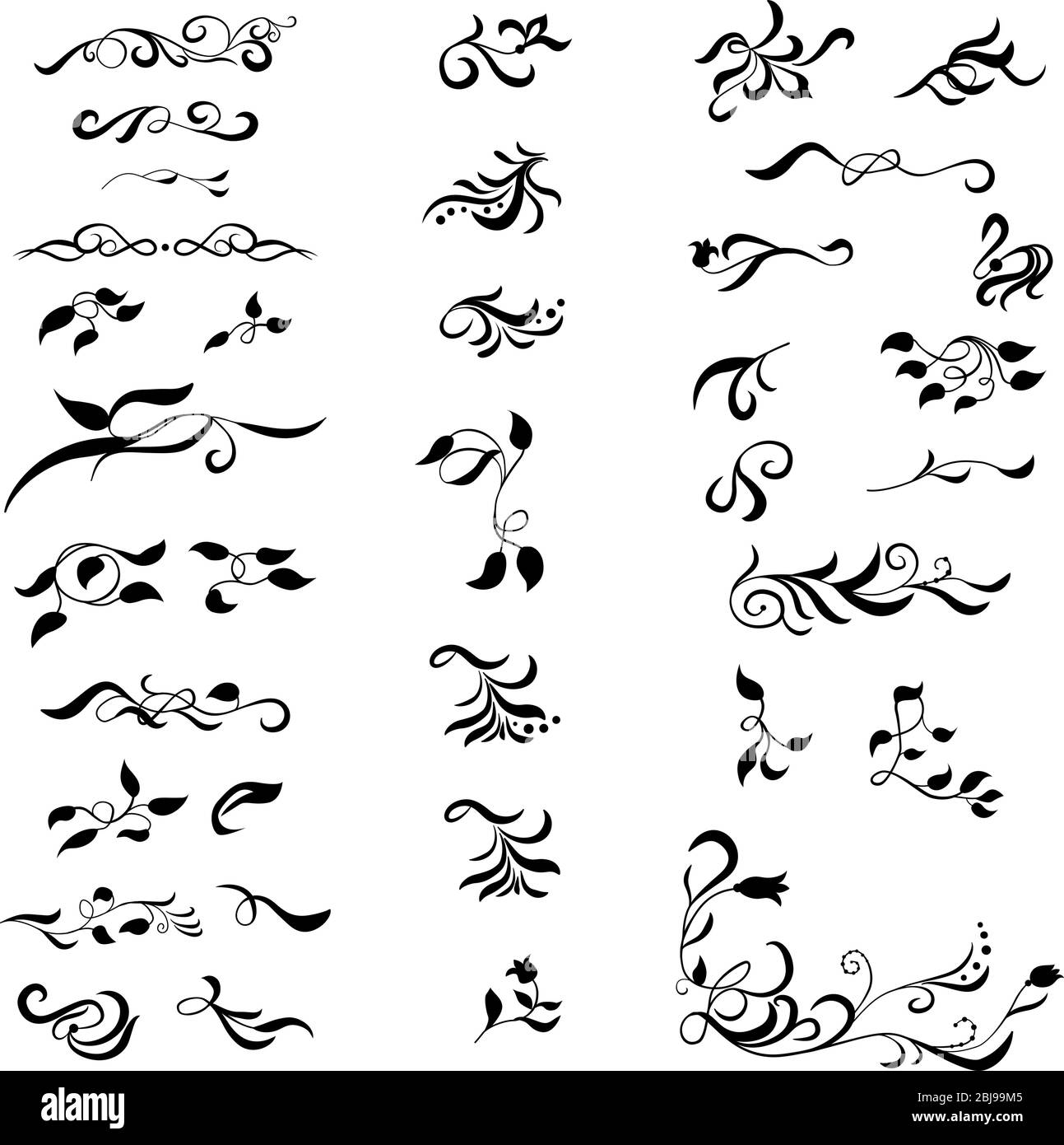 Set di elementi decorativi calligrafici disegnati a mano. Divisori di testo isolati su sfondo bianco Illustrazione Vettoriale