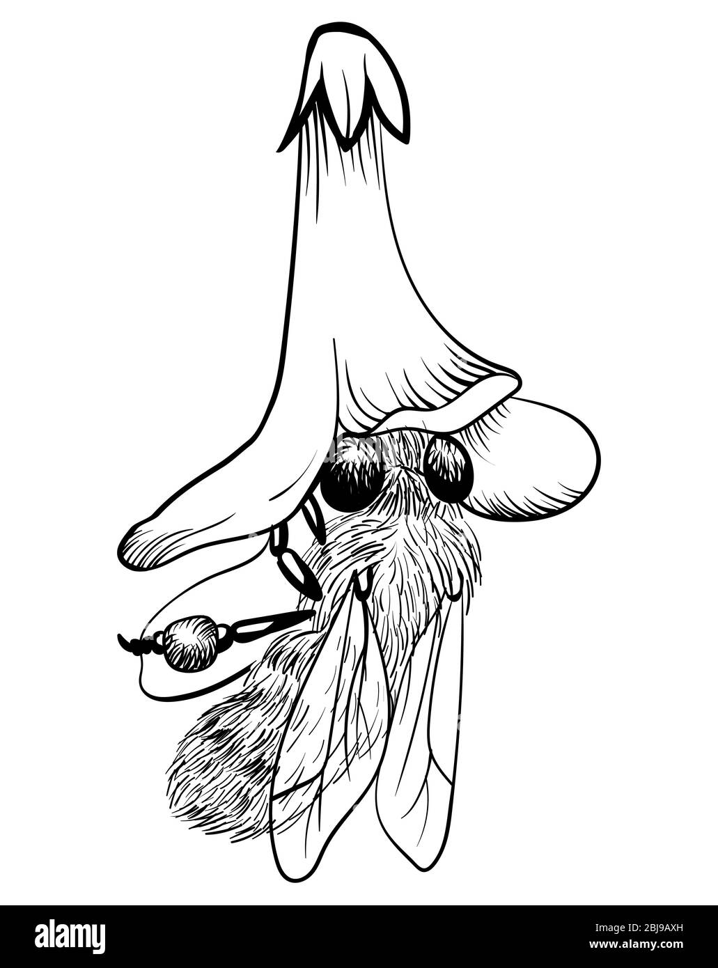 Ape miele, illustrazione isolata ape su bianco ape miele raccolta polline e nettare in fiore. Illustrazione vettoriale monocromatica isolata. Black Bee ON Illustrazione Vettoriale