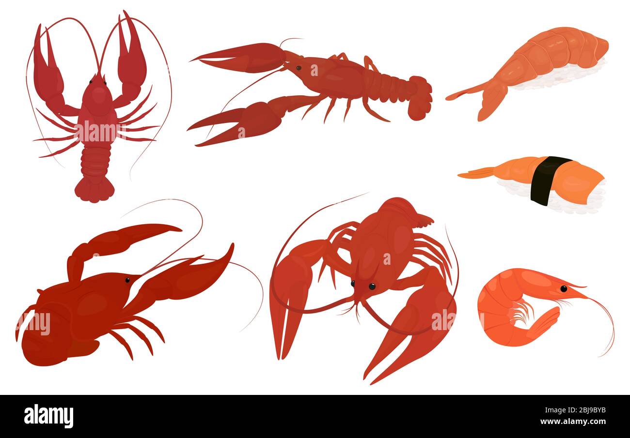 aragosta o gamberi, illustrazione disegnata a mano vintage, schizzo nero monocromatico per il menu di progettazione Illustrazione Vettoriale