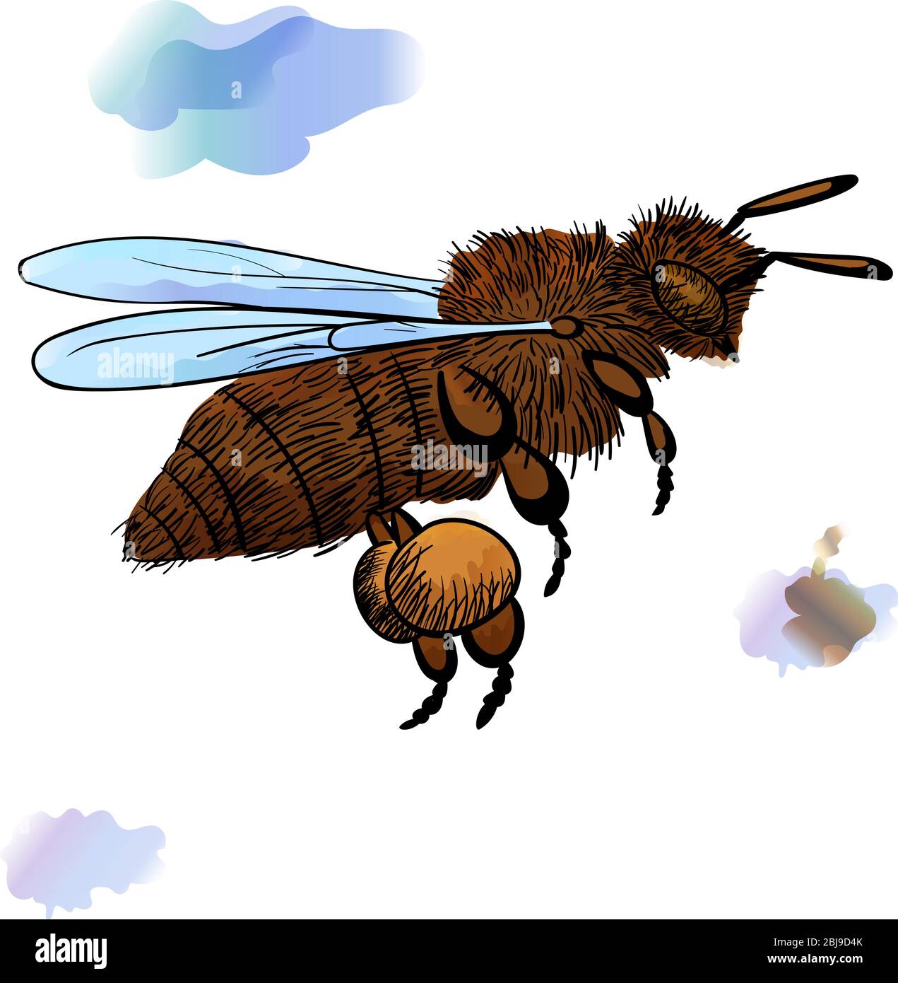 miele ape vola illustrazione con contorno nero. disegno di un insetto con un effetto acquerello. stock vettore illustrazione Illustrazione Vettoriale