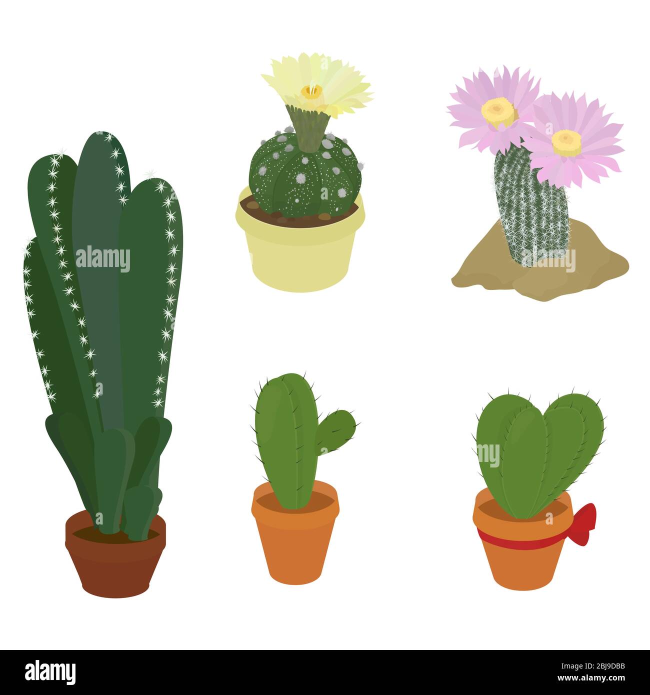 Set di piante Cactus. Piante domestiche in pentole. Illustrazione vettoriale floreale isolata su sfondo bianco. Cactus con fiori. Piante di POT. Cute cactus vettoriale Illustrazione Vettoriale