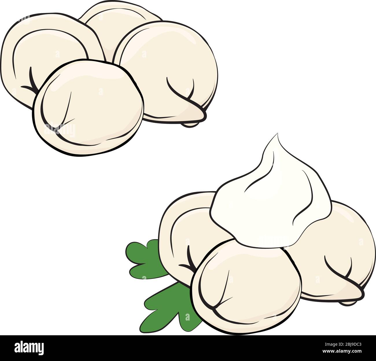 pelmeni o gnocchi in stile cartoon. Gnocchi di carne con prezzemolo e panna acida. Cucina. Piatto nazionale con pasta e carne. Contorno nero vettore il Illustrazione Vettoriale
