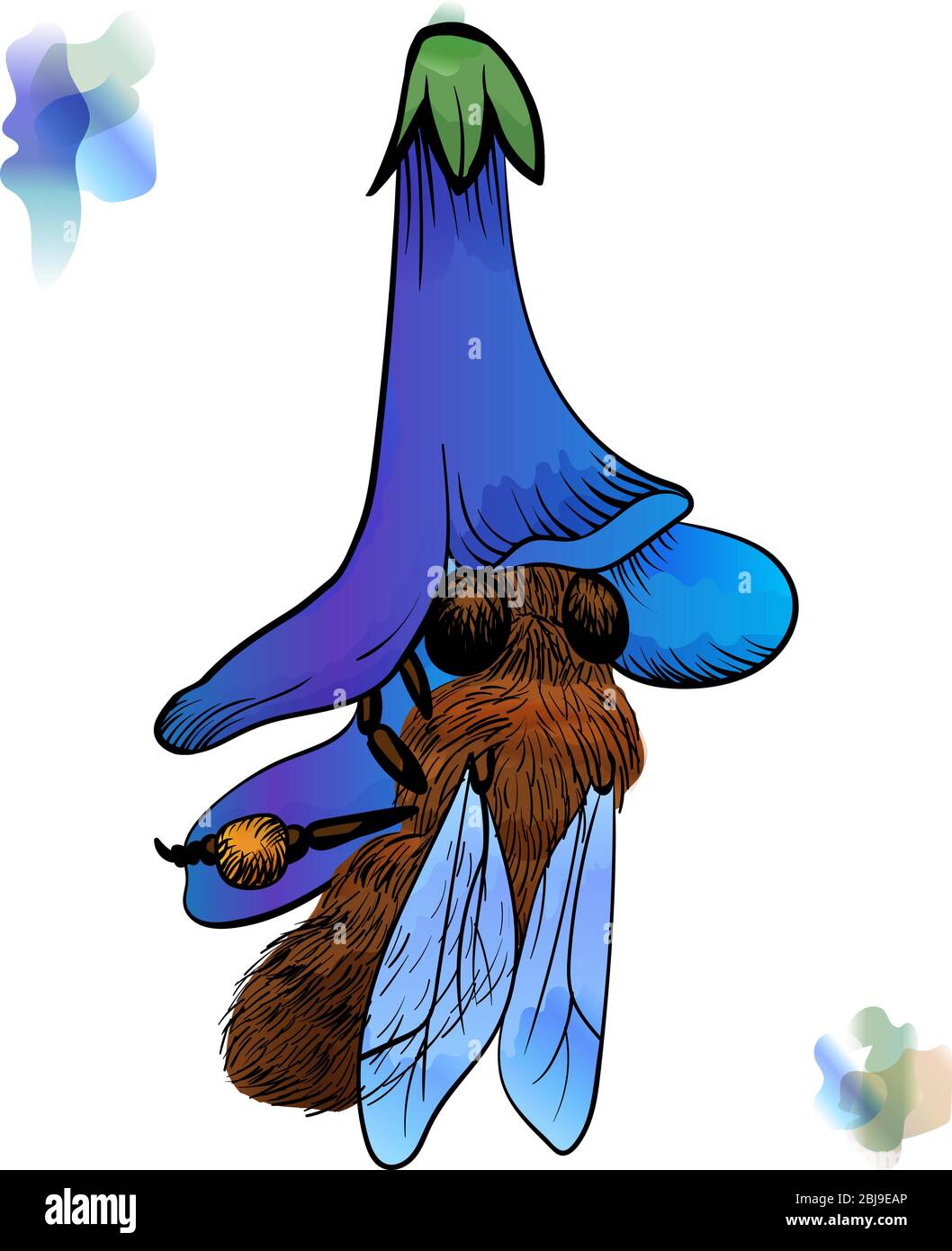 ape in un fiore viola raccoglie miele. nero contorno illustrazione con effetto acquerello su uno sfondo bianco Illustrazione Vettoriale