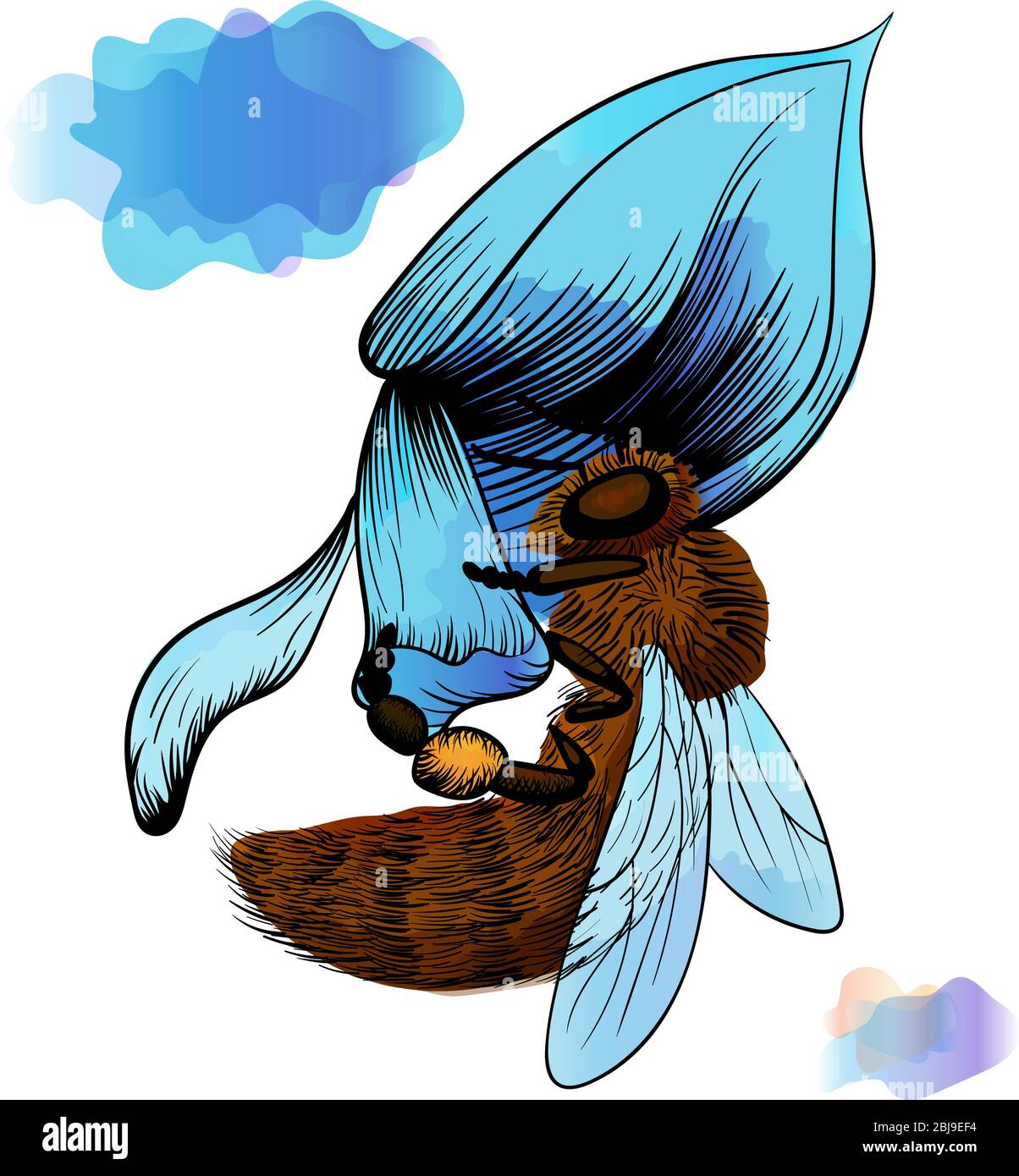 ape in fiore blu raccoglie miele. nero contorno illustrazione con effetto acquerello su uno sfondo bianco Illustrazione Vettoriale