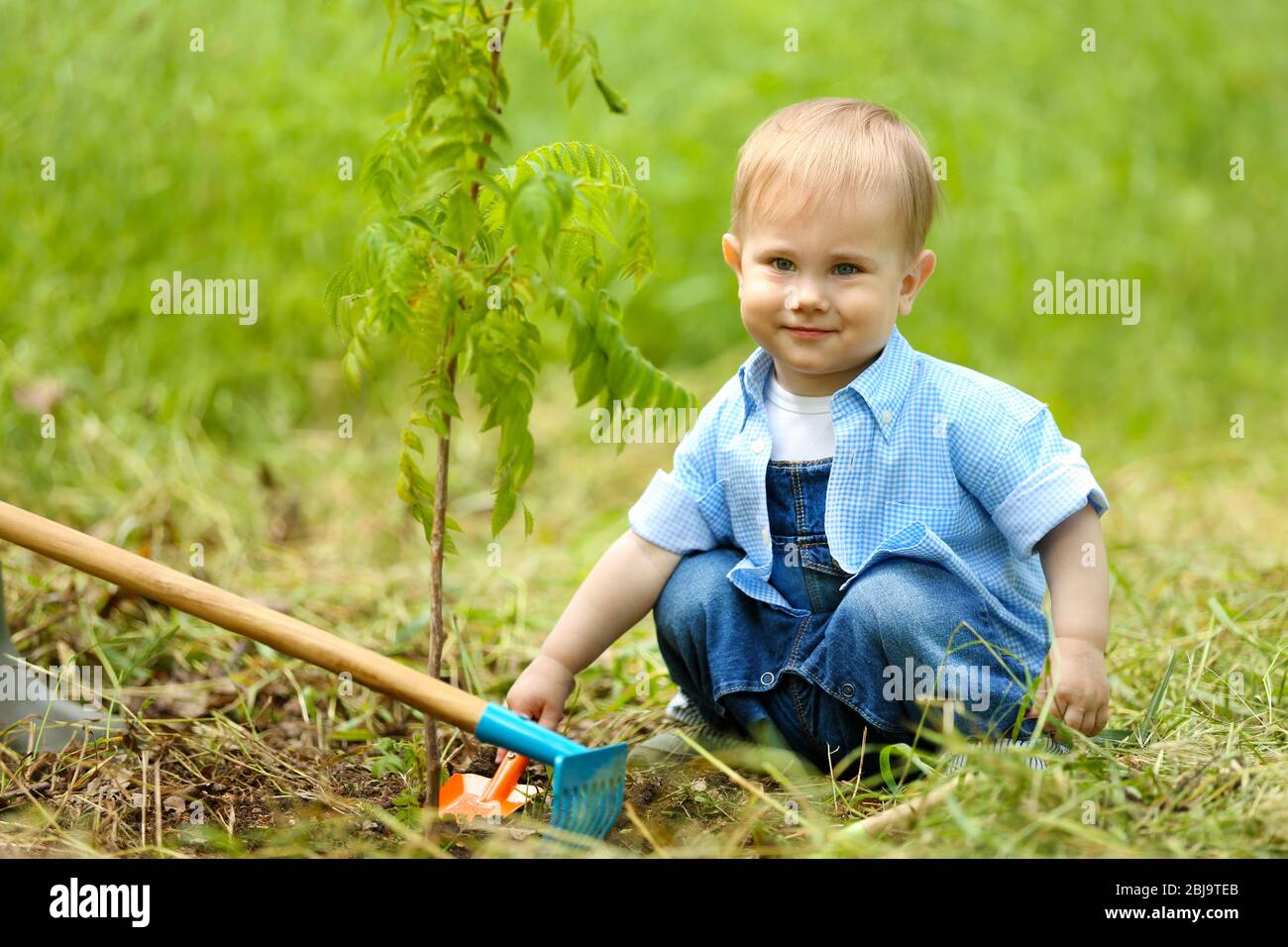 Bambino carino ragazzo piantando albero in giardino Foto Stock