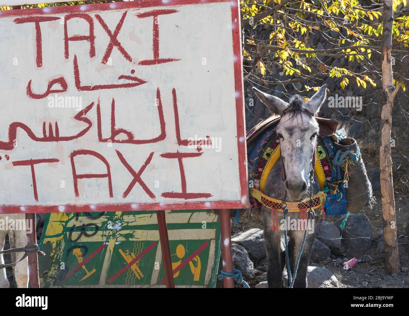 Mulo Taxi Cartellonistica promozionale, Imlil, Alto Atlante. Foto Stock