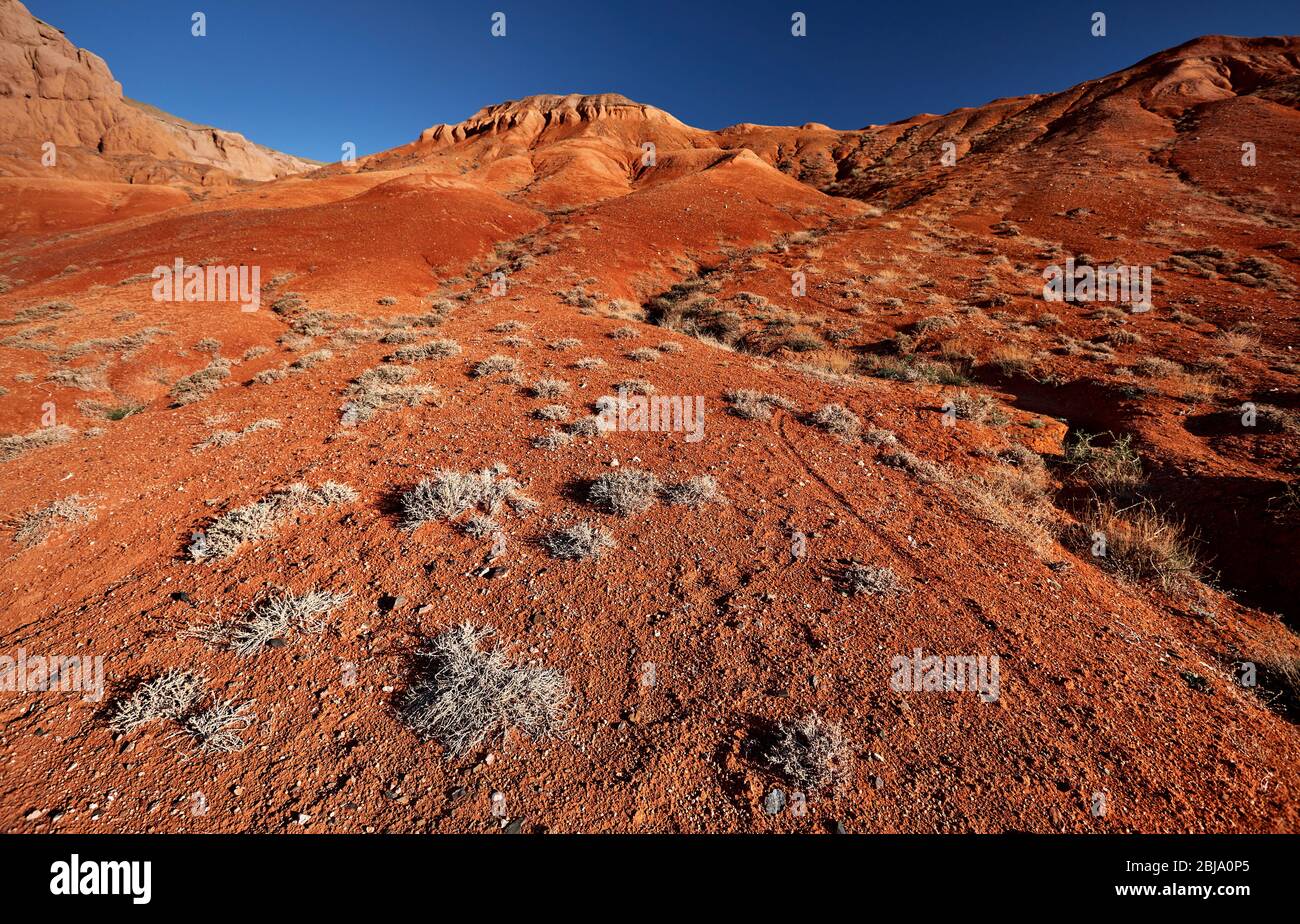 Monti Rossi nel canyon del deserto contro il cielo blu in Kazakistan Foto Stock