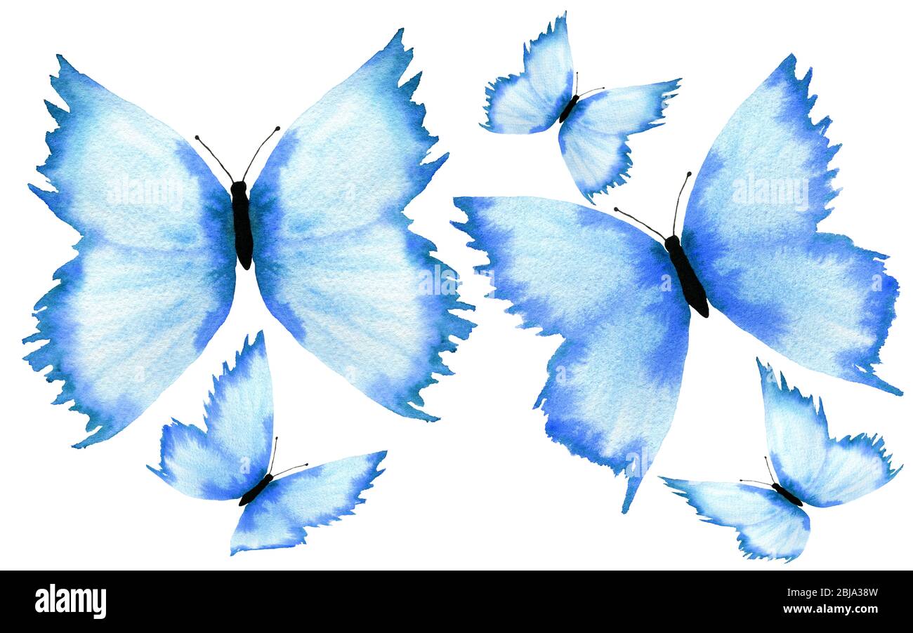 blu farfalla set isolato su sfondo bianco, acquerello illustrazione con farfalle dipinte a mano Foto Stock