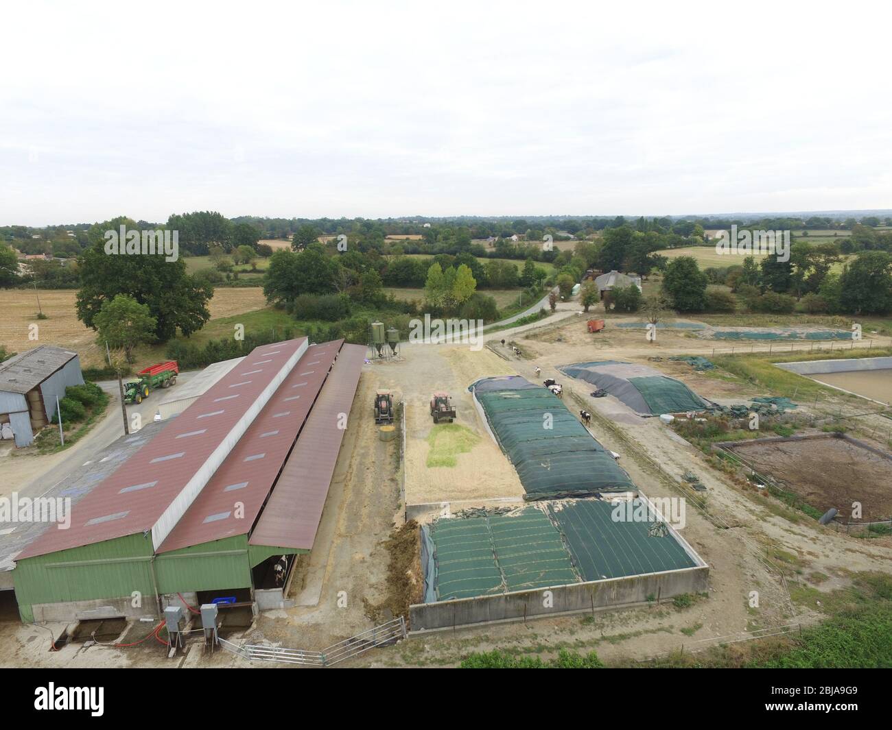 Arial Photo conservazione dei mangimi per bestiame per l'inverno Foto Stock