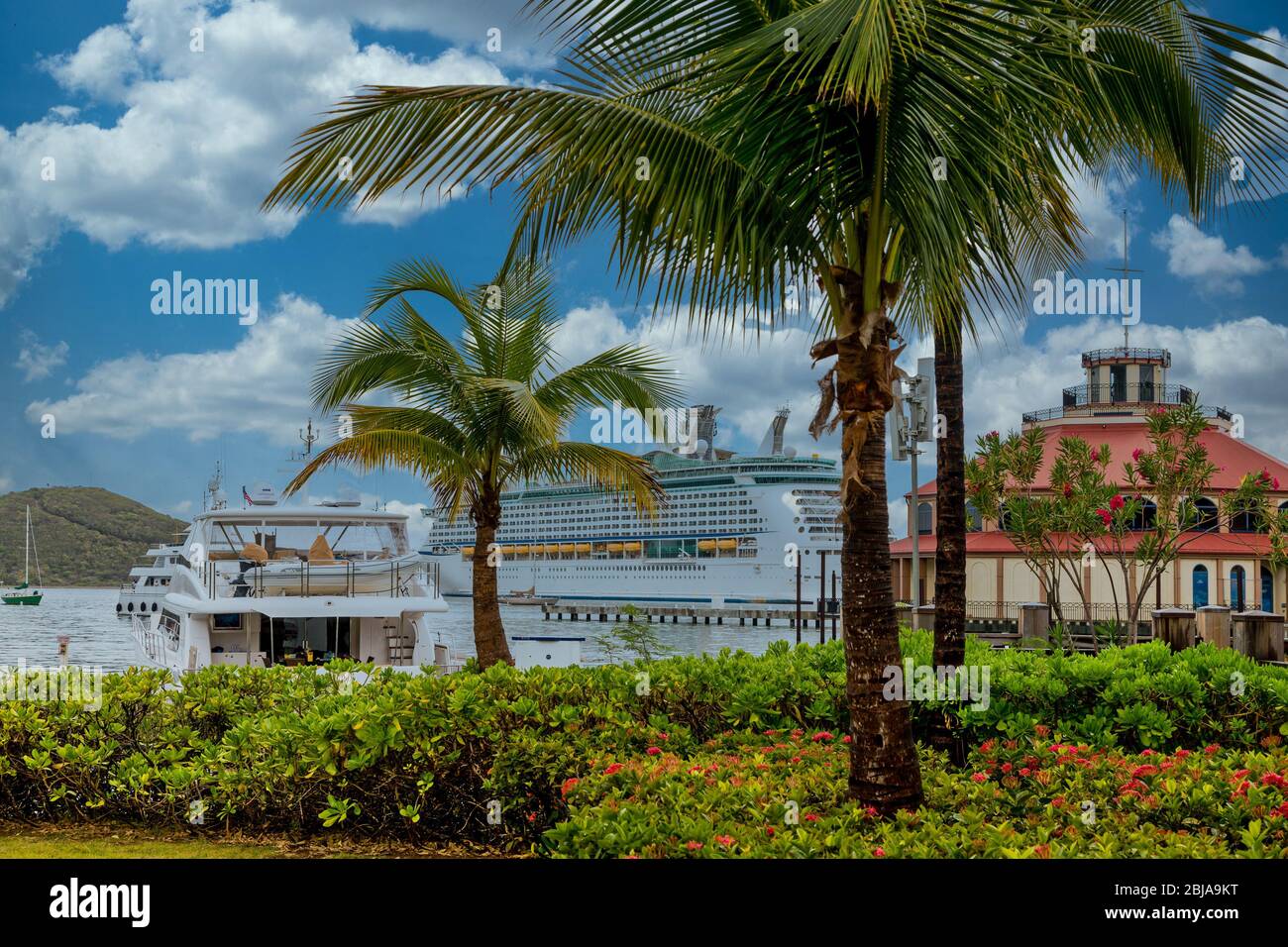 Nave da crociera oltre gli alberi di palma nel Porto tropicale Foto Stock