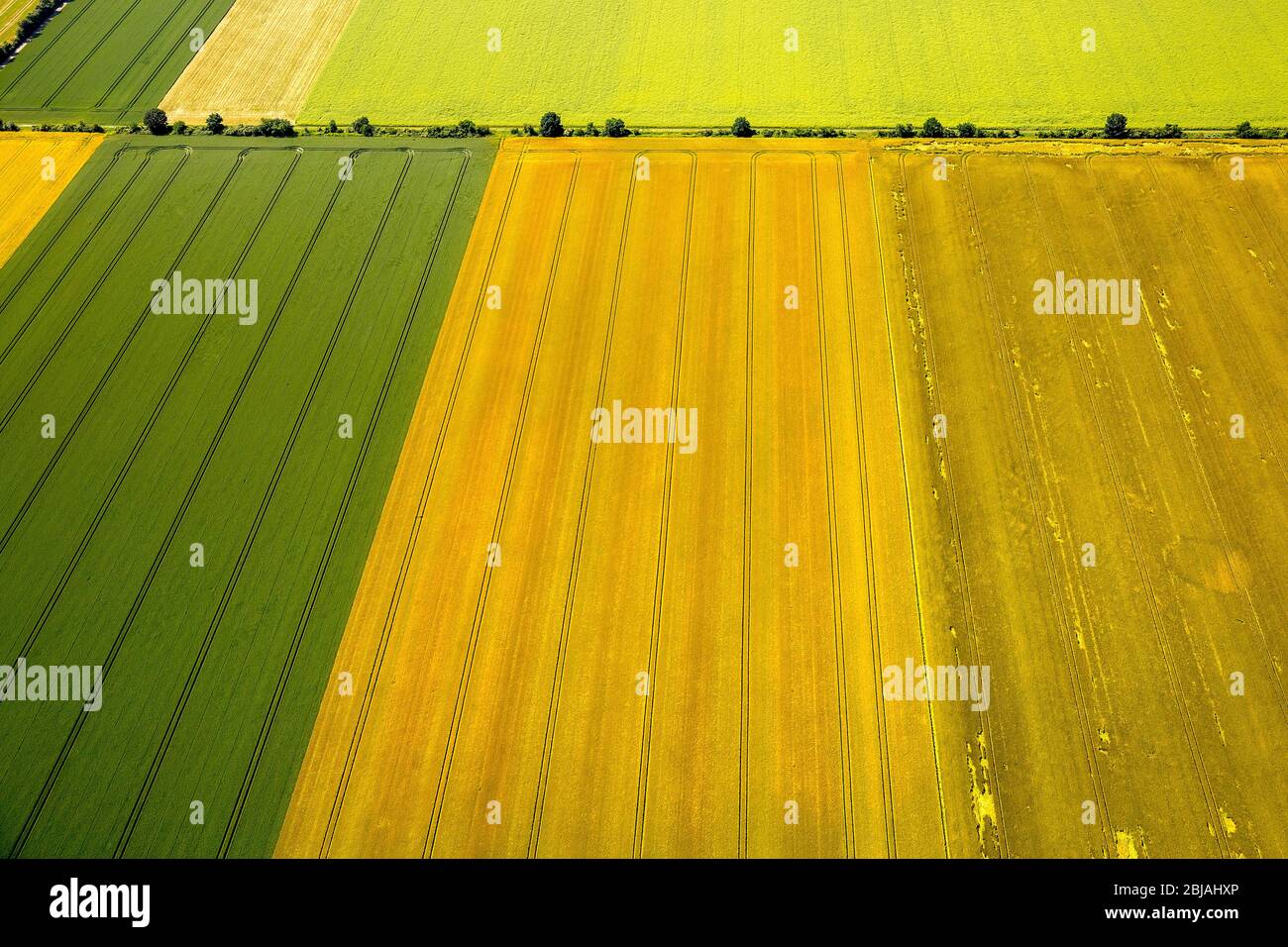 , paesaggio in estate, 09.06.2016, vista aerea, Germania, Renania Settentrionale-Vestfalia, basso Reno, Zuelpich Foto Stock