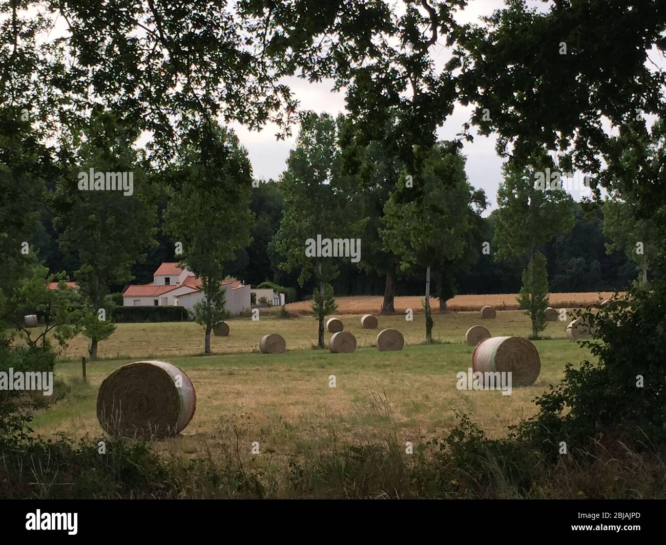 Hay Bails nella campagna francese ' Foto Stock