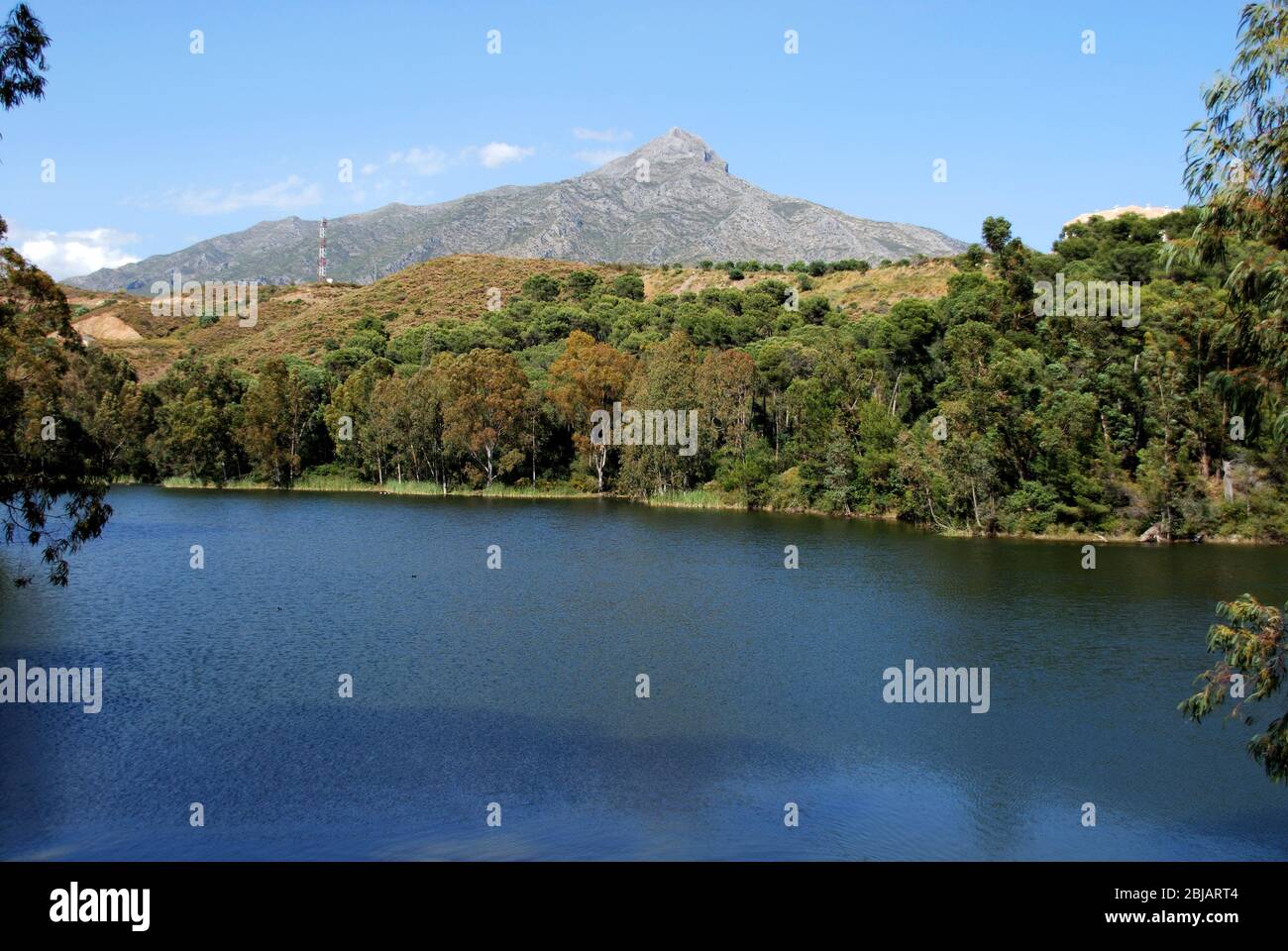 Vista sul lago verso le montagne della riserva naturale Nueva Andalucia, Marbella, Costa del Sol, Provincia di Malaga, Andalusia, Spagna. Foto Stock