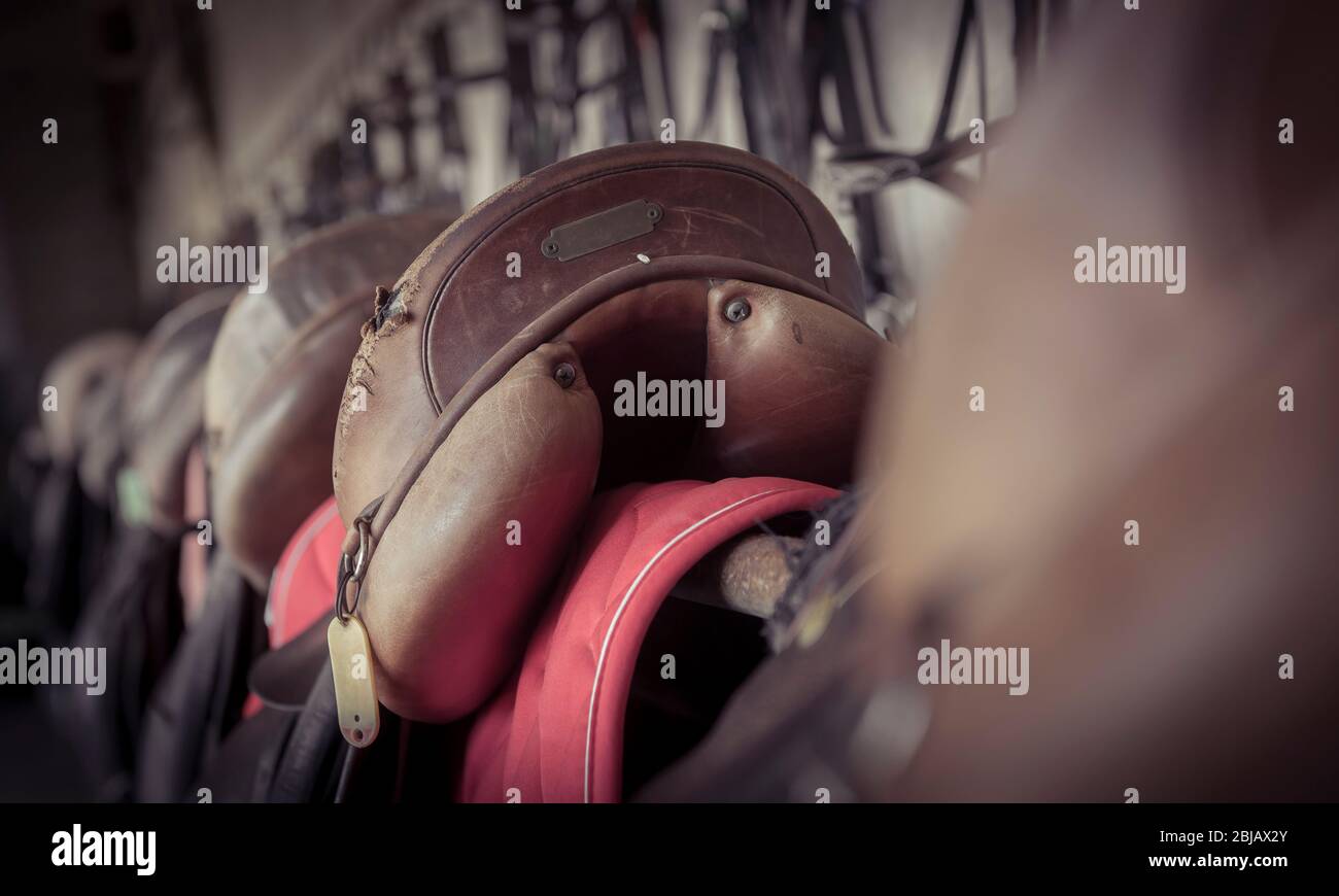 Selle e bridle in pelle in una stanza della virata. Foto Stock