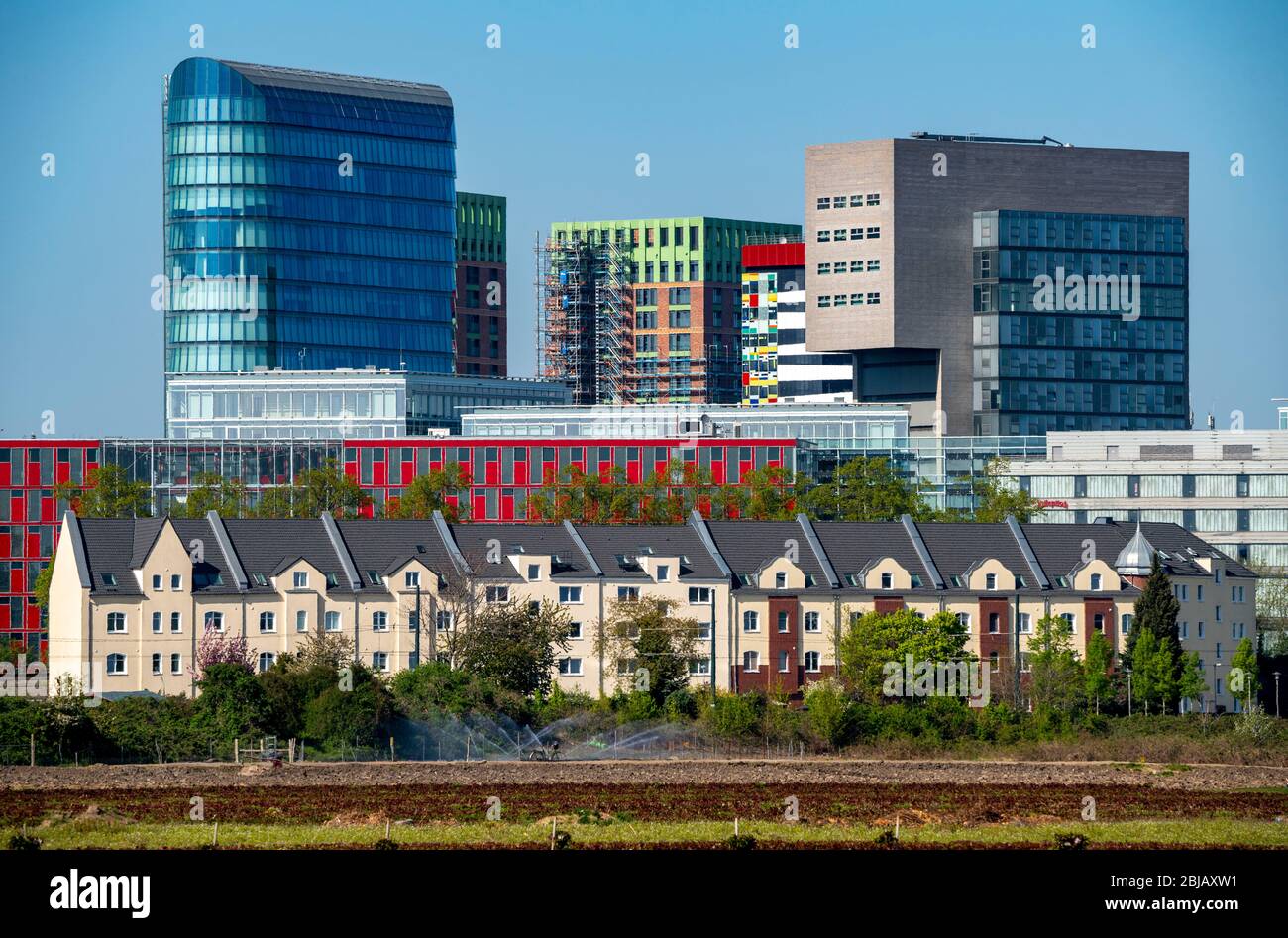 Skyline delle case nel Media Harbour, di fronte a loro case residenziali nel quartiere di Hamm, agricoltura, orticoltura, DŸsseldorf, NRW, Foto Stock