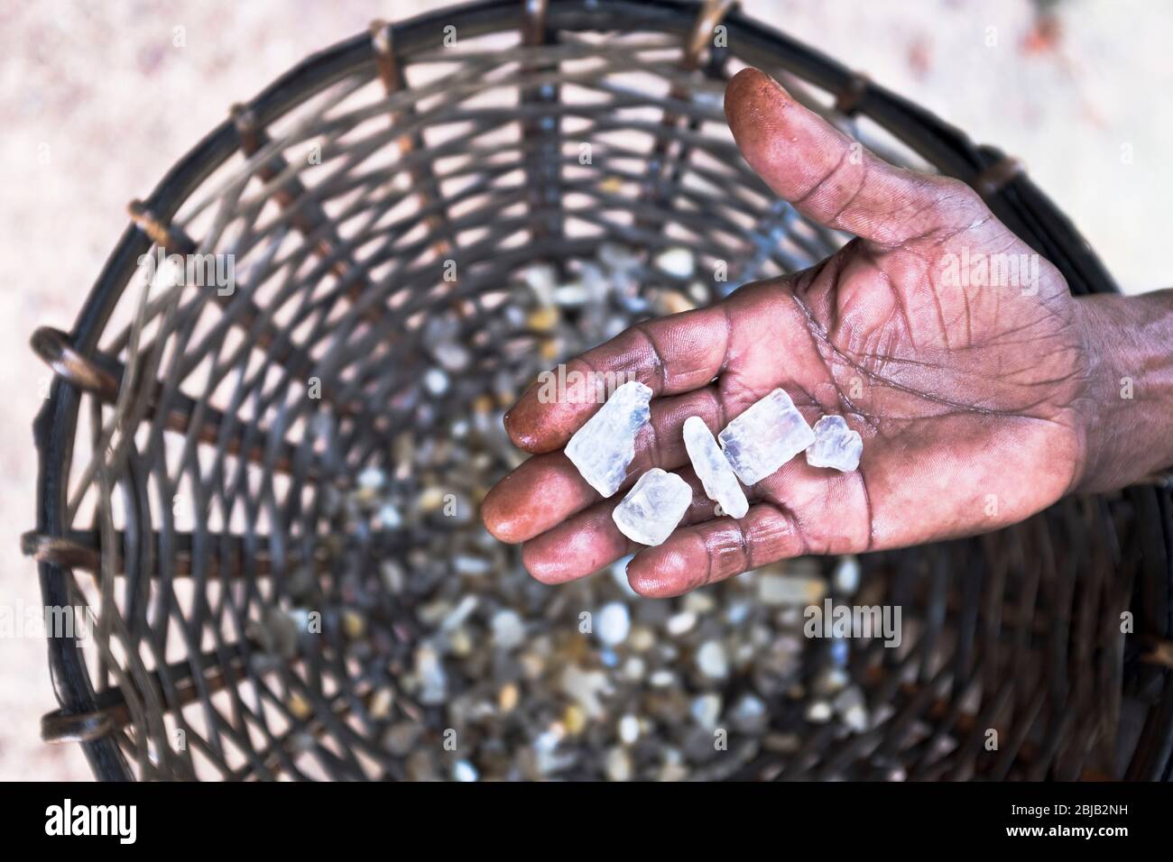 dh Sri Lankan Moonstone Mines AMBALANGODA SRI LANKA mano con pietre di luna grezze non tagliate da gemme gemme di gemme di pietra di Pan mineraria Foto Stock