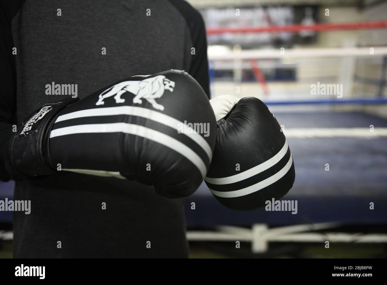 Attrezzature da boxe reali in palestra. Utile per gli usi del tipo di concetto di boxing. Foto Stock