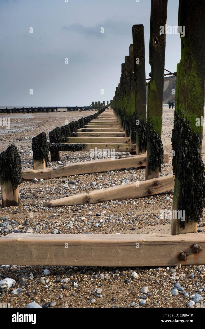 Difesa costiera sulla spiaggia a Sheringham, Norfolk, Inghilterra. Foto Stock
