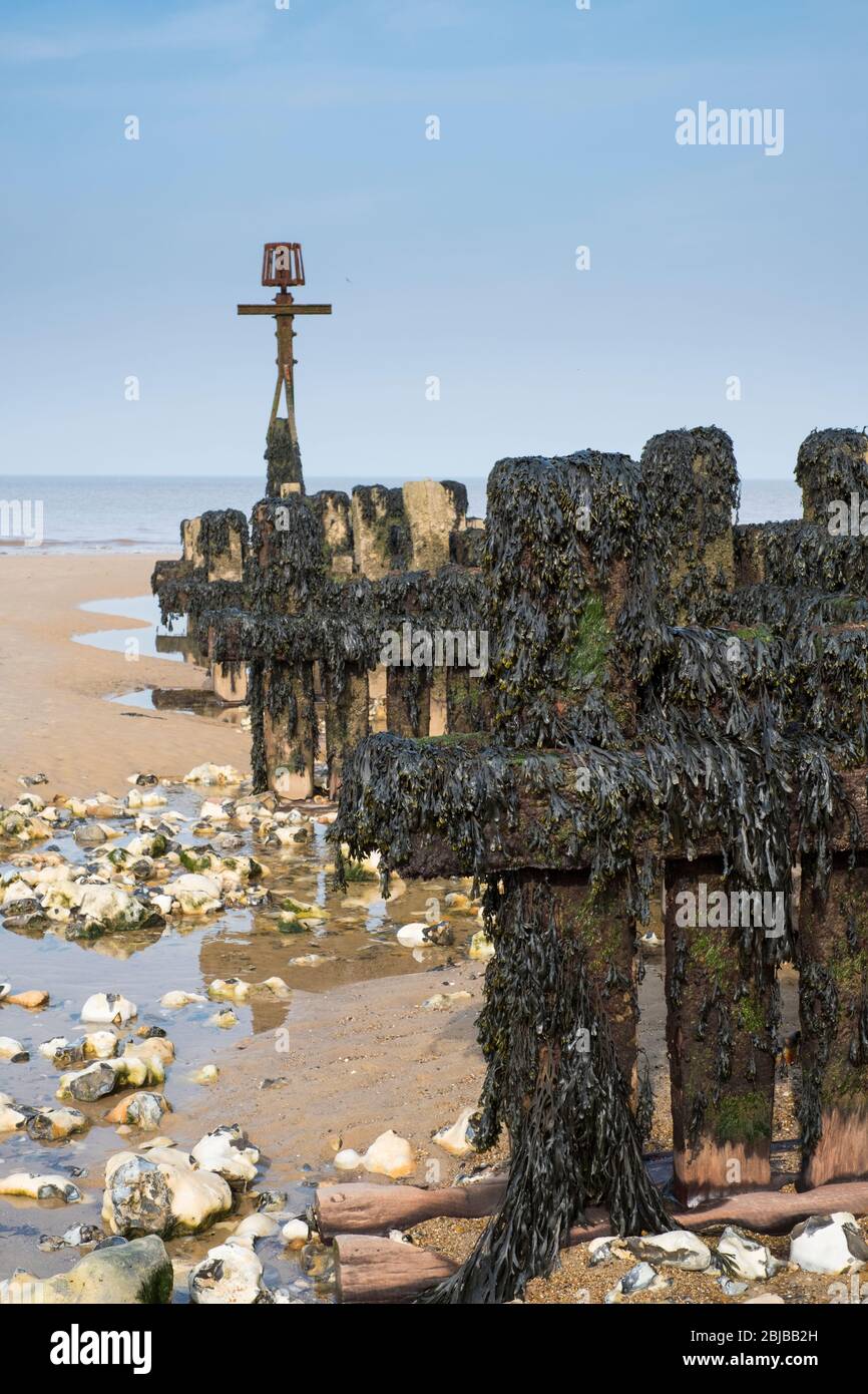 Difesa costiera sulla spiaggia a Sheringham, Norfolk, Inghilterra. Foto Stock