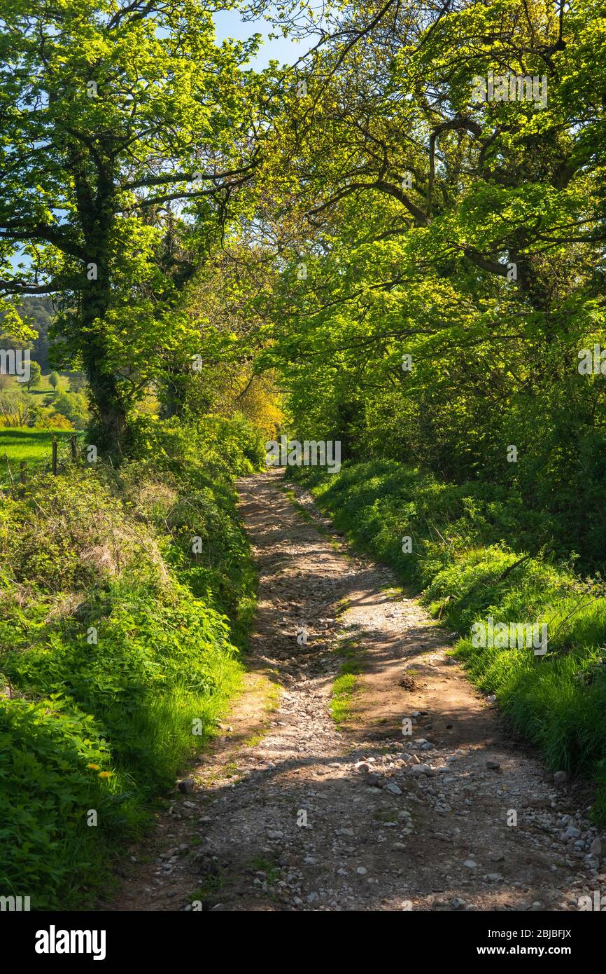 Regno Unito, Inghilterra, Cheshire, Congleton, Timbersbrook, Acorn Lane, antico ponte per Cloudside Foto Stock