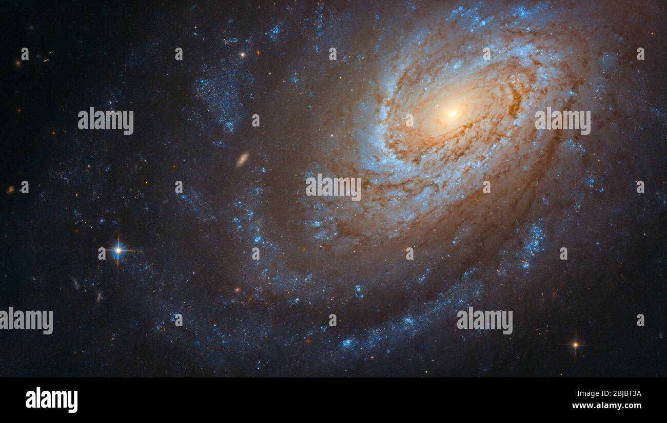 Questa notevole galassia a spirale, nota come NGC 4651, può sembrare serena e pacifica mentre ruota nel vuoto ampio e silenzioso dello spazio, ma non essere stupidi Foto Stock