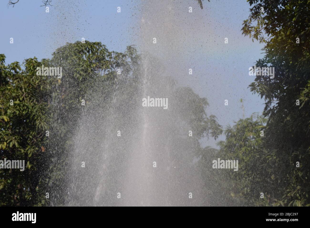 Fontana d'acqua tra gli alberi, Giardino del Pinjore Foto Stock