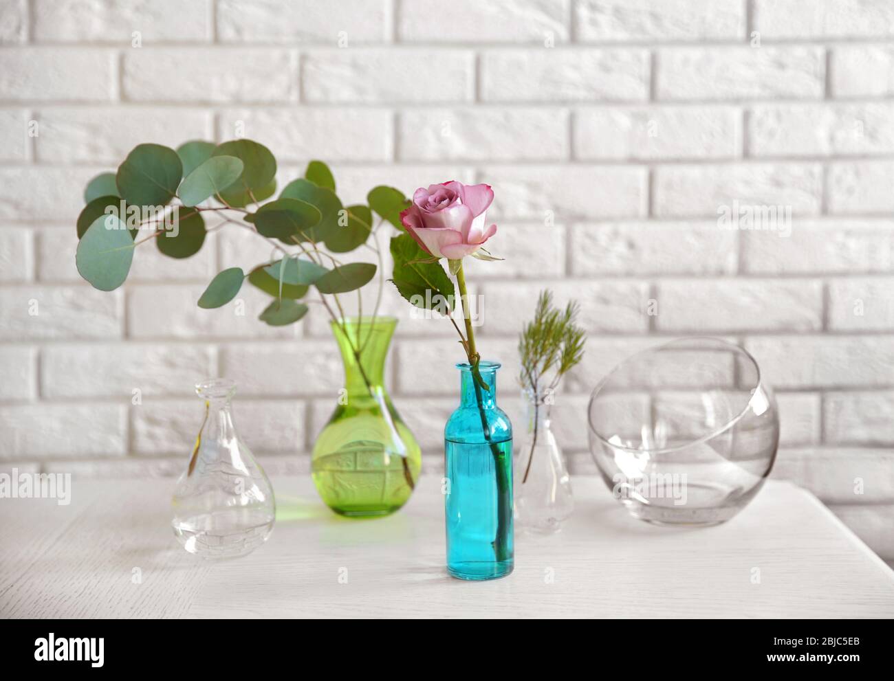 Piante in diversi vasi di vetro sul tavolo in camera Foto Stock