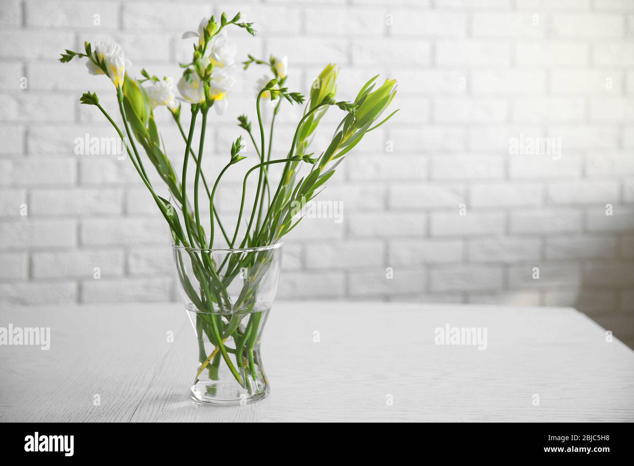 Composizione delle piante in vaso di vetro sul tavolo in camera Foto Stock