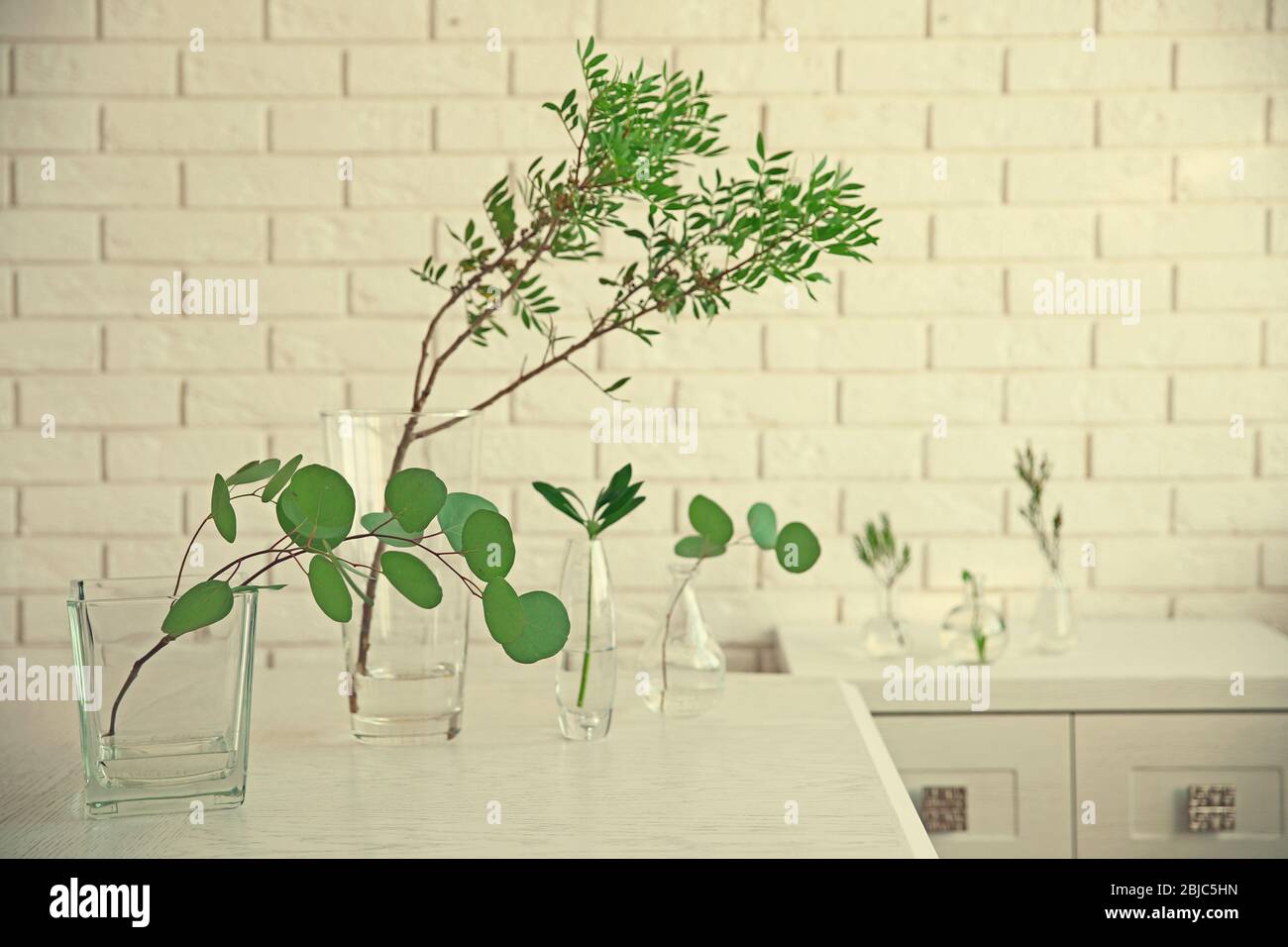 Piante in diversi vasi di vetro sul tavolo in camera Foto Stock