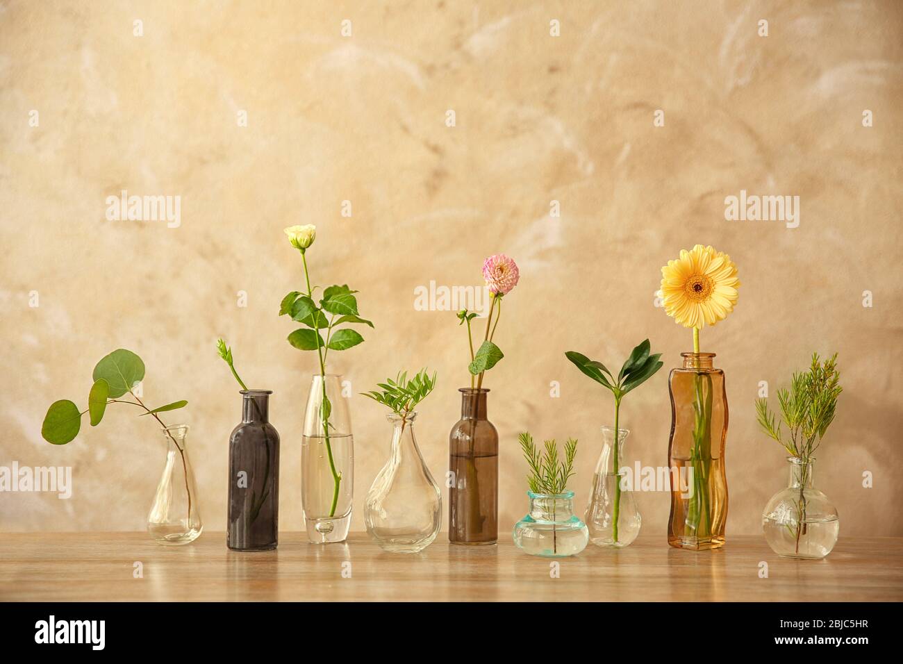 Piante in diversi vasi di vetro sul tavolo in camera Foto Stock