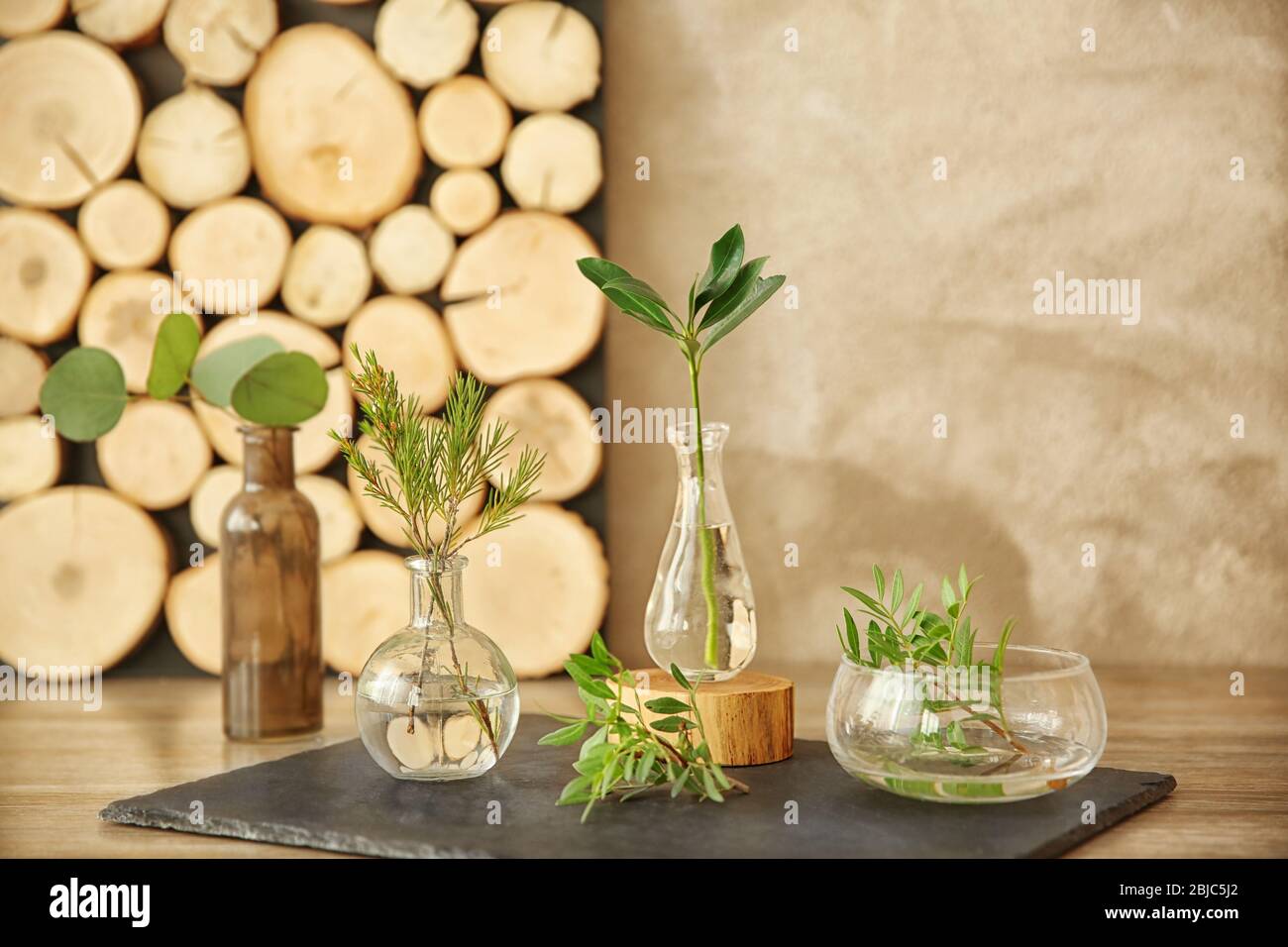 Piante in diversi vasi di vetro sul tavolo in camera Foto Stock