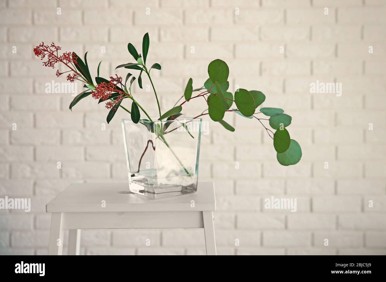 Composizione delle piante in vaso di vetro sul tavolo in camera Foto Stock