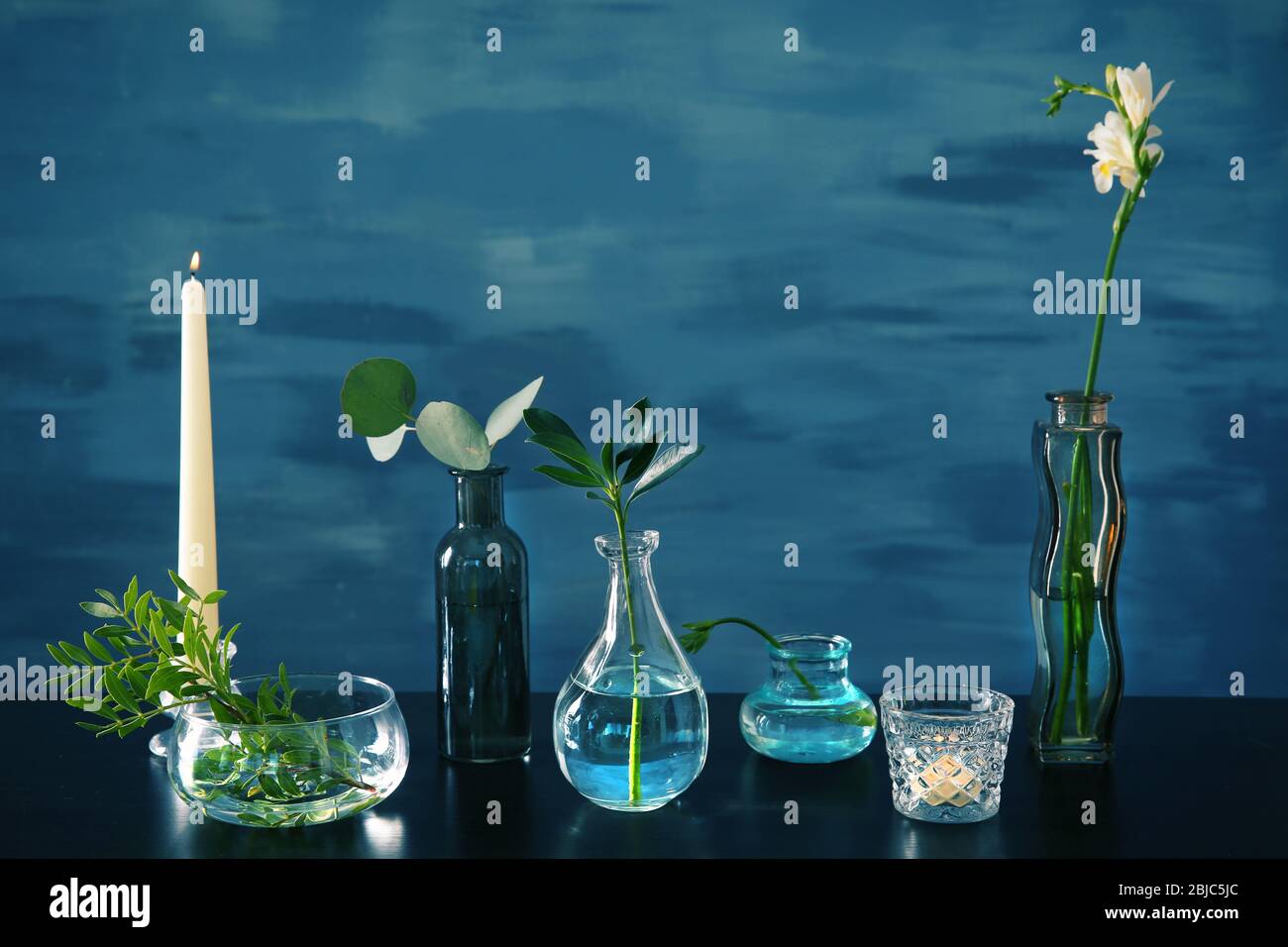 Piante in vasi di vetro diversi su tavolo e sfondo blu Foto Stock