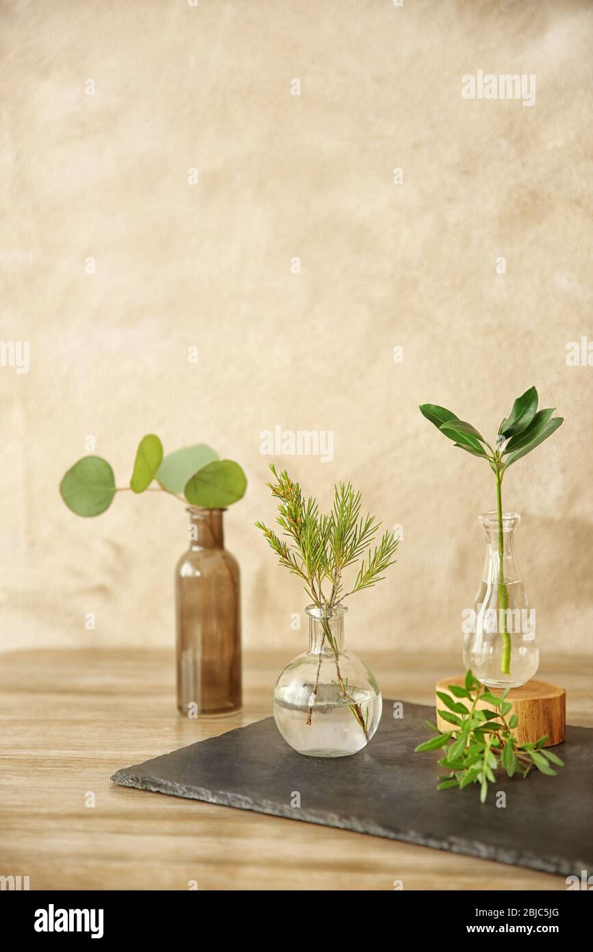 Piante in diversi vasi di vetro sul tavolo in camera Foto Stock