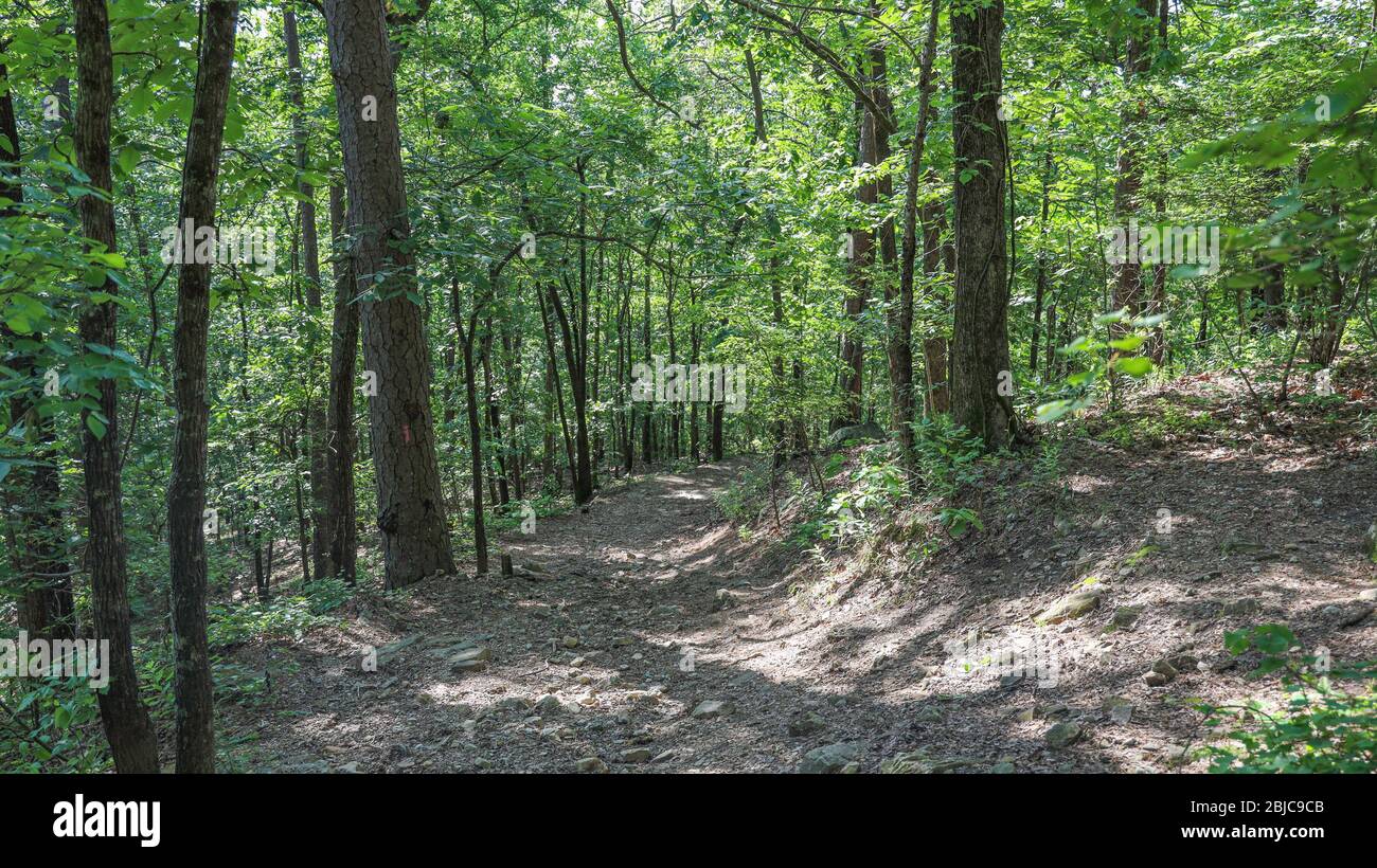 Ci sono alcuni cambiamenti nell'altitudine sul Gulpha Gorge Hiking Trail nel Hot Springs National Park, Arkansas, Stati Uniti Foto Stock