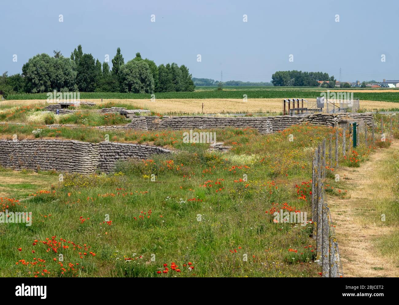 I Guerra Mondiale trincee noto come Dodengang (Trench di morte) circondato da papaveri. Situato vicino a Diskmuide, Fiandre, in Belgio Foto Stock