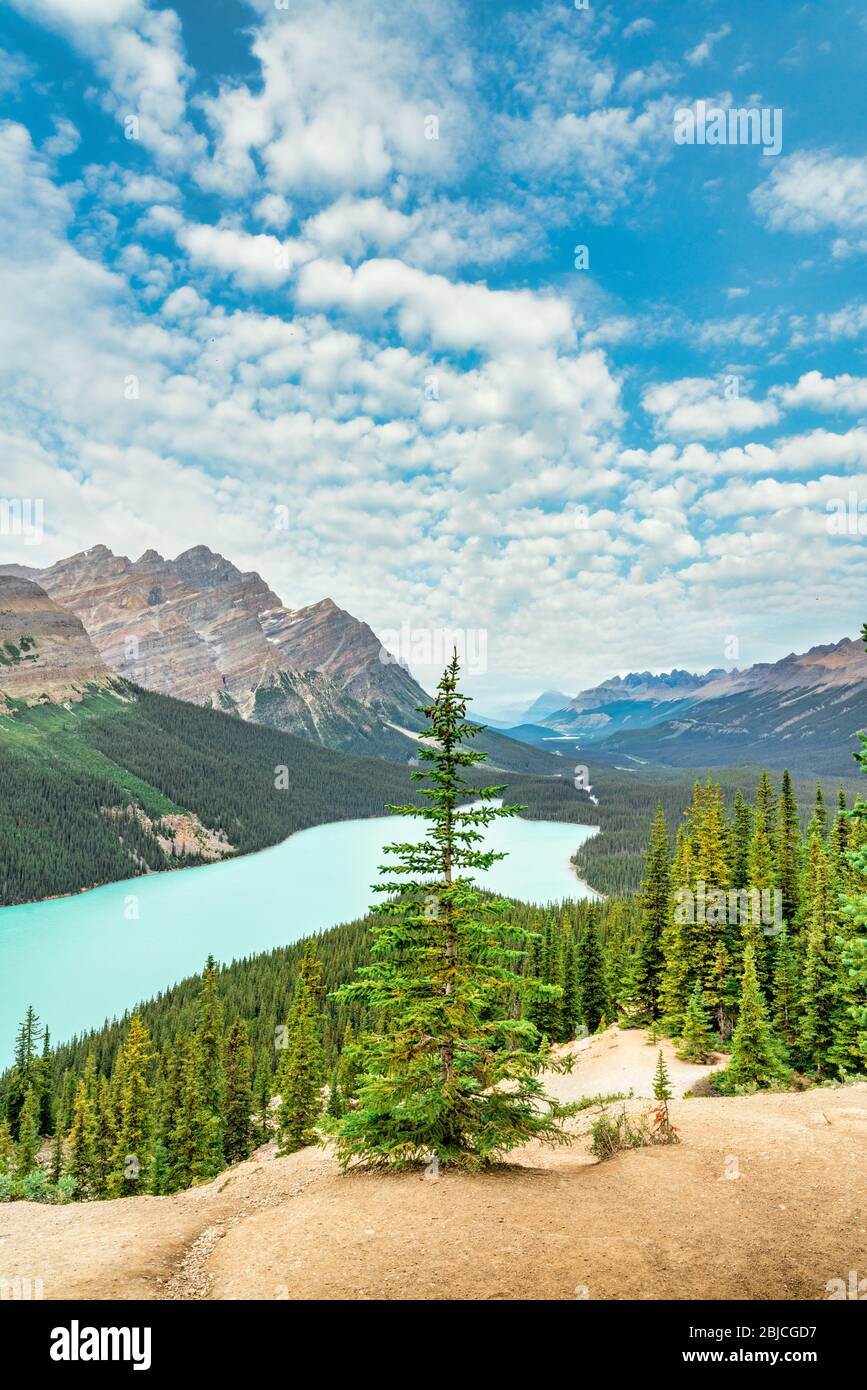 Peyto Lake nelle Montagne Rocciose Canadesi, Alberta, Canada Foto Stock