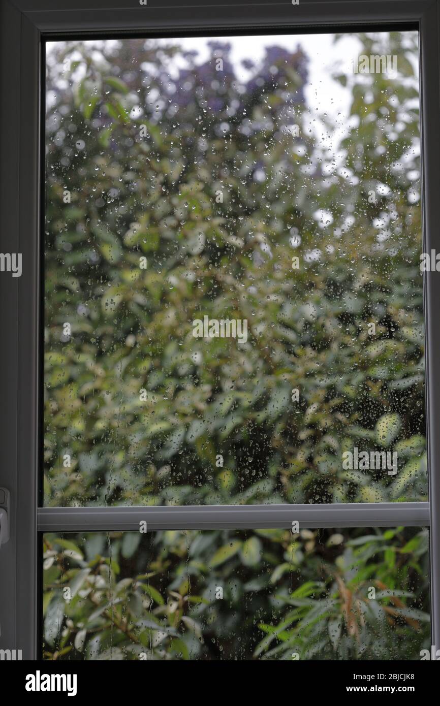all'interno guardando all'esterno attraverso una finestra di pioggia Foto Stock