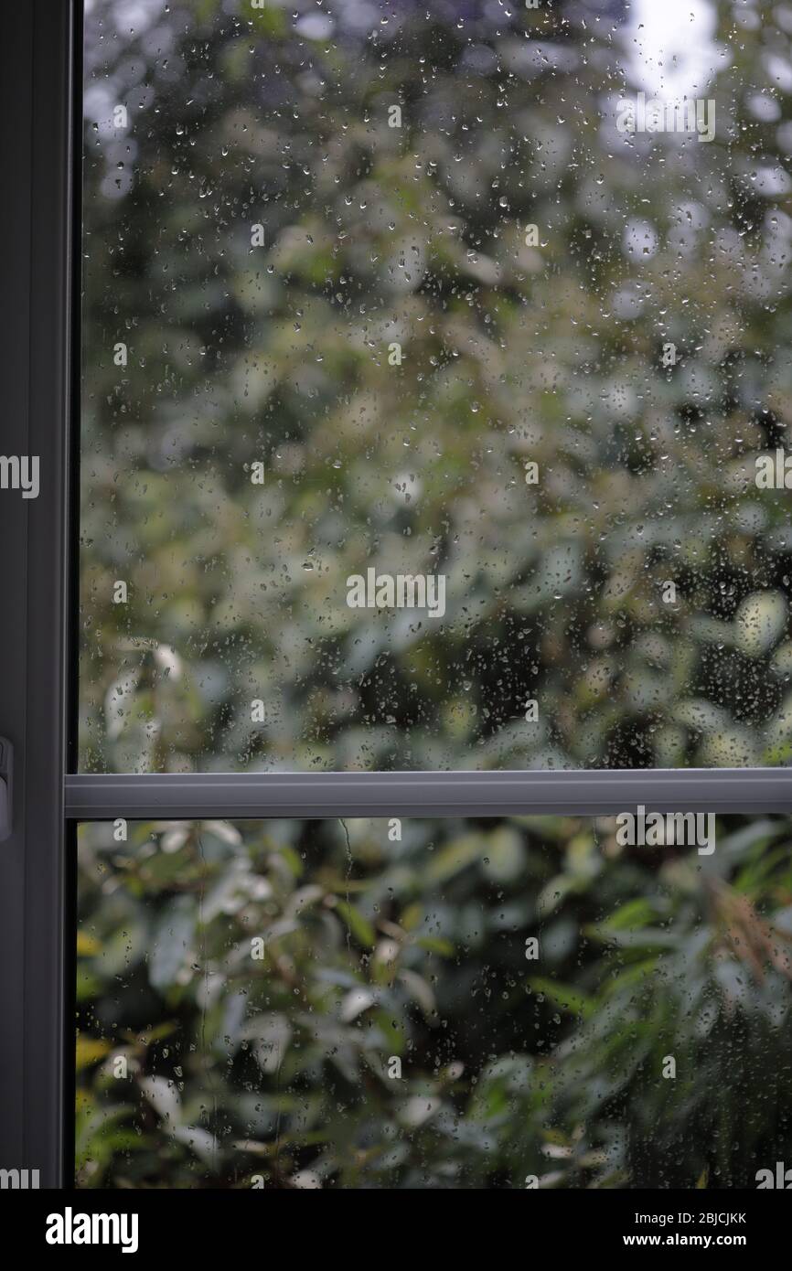 all'interno guardando all'esterno attraverso una finestra di pioggia Foto Stock