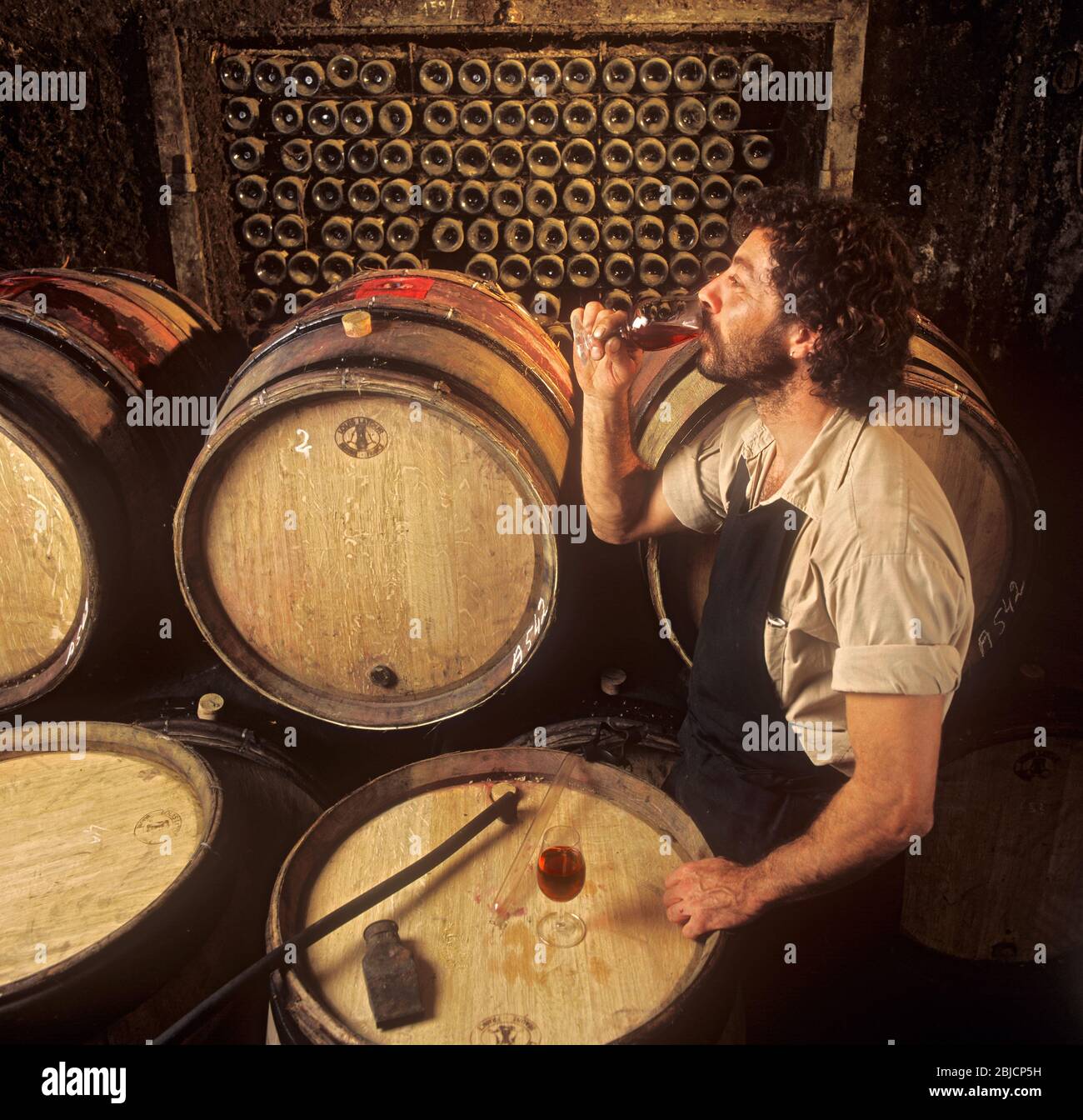 Degustazione di vino rosso Pinot Nero estratto dalla botte nelle cantine della cantina Louis Latour Château de Grancey, Borgogna Francia Foto Stock